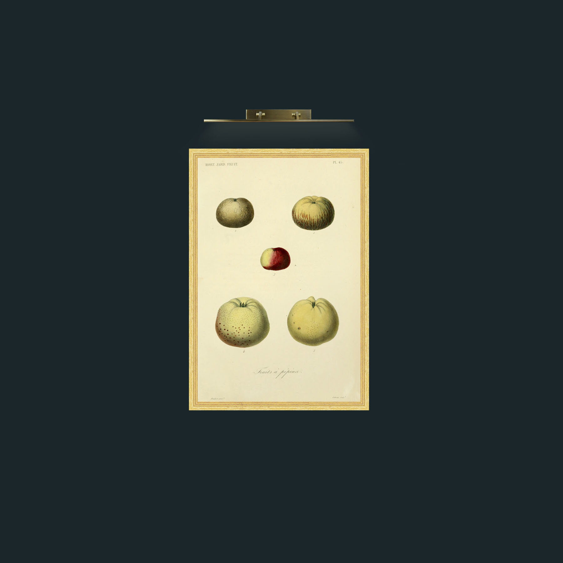 Art-Apples-Frame-4BevelledGilt.jpg