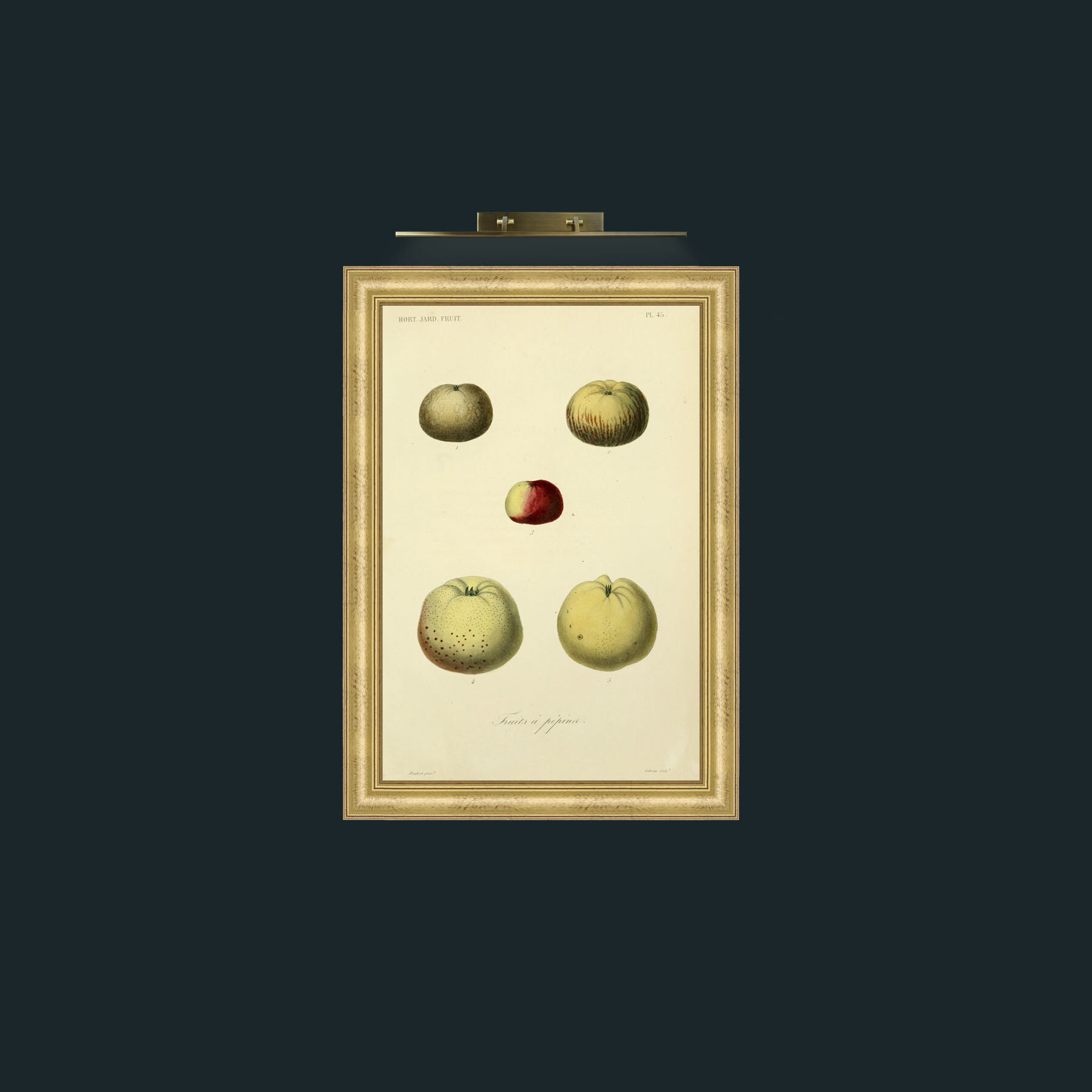 Art-Apples-Frame-9WideGilt.jpg