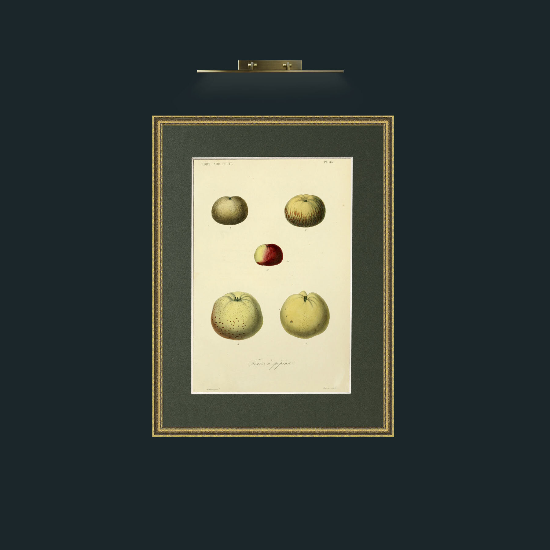 Art-Apples.jpg-Frame-1TexturedGilt-Mount-2Green.jpg