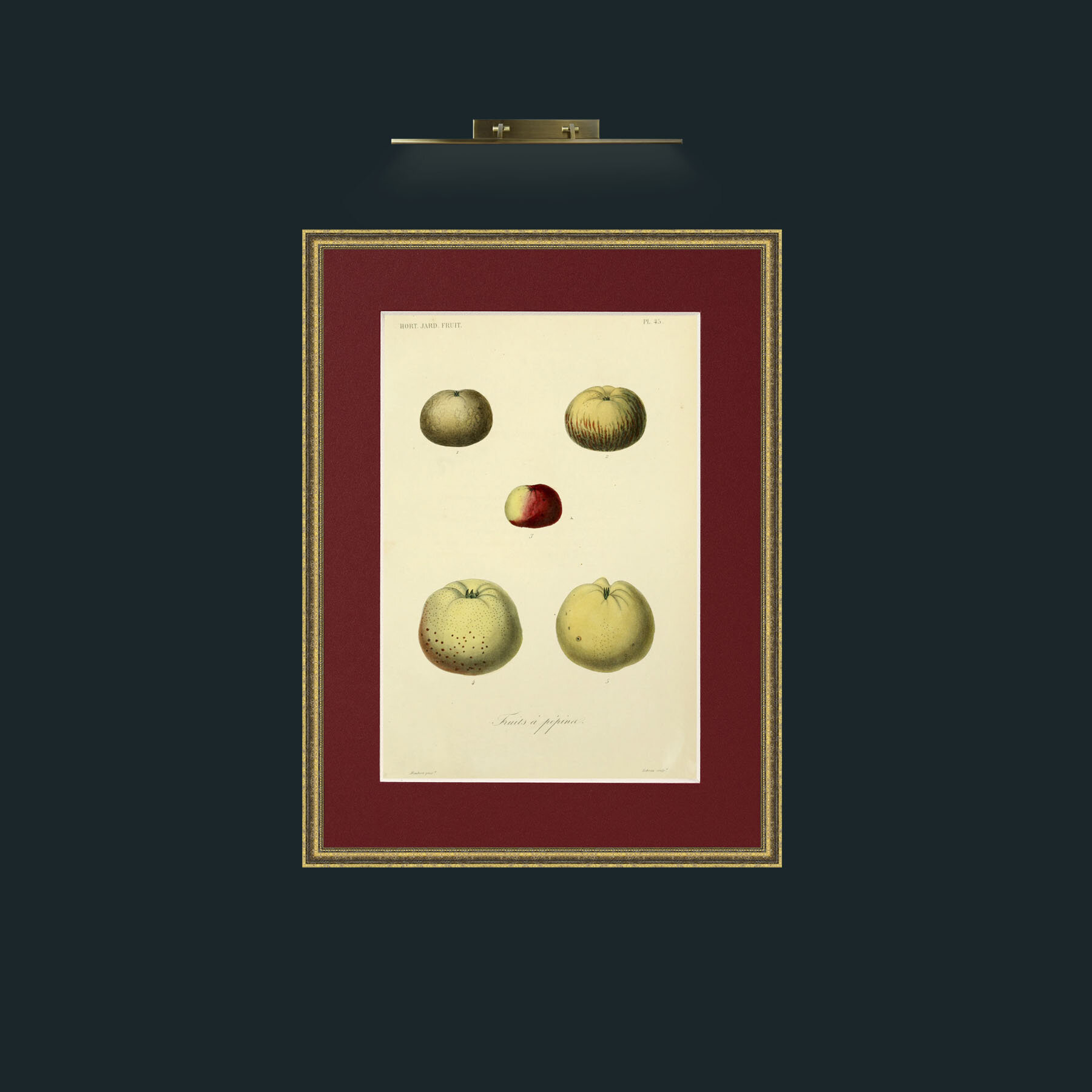Art-Apples.jpg-Frame-1TexturedGilt-Mount-4Red.jpg
