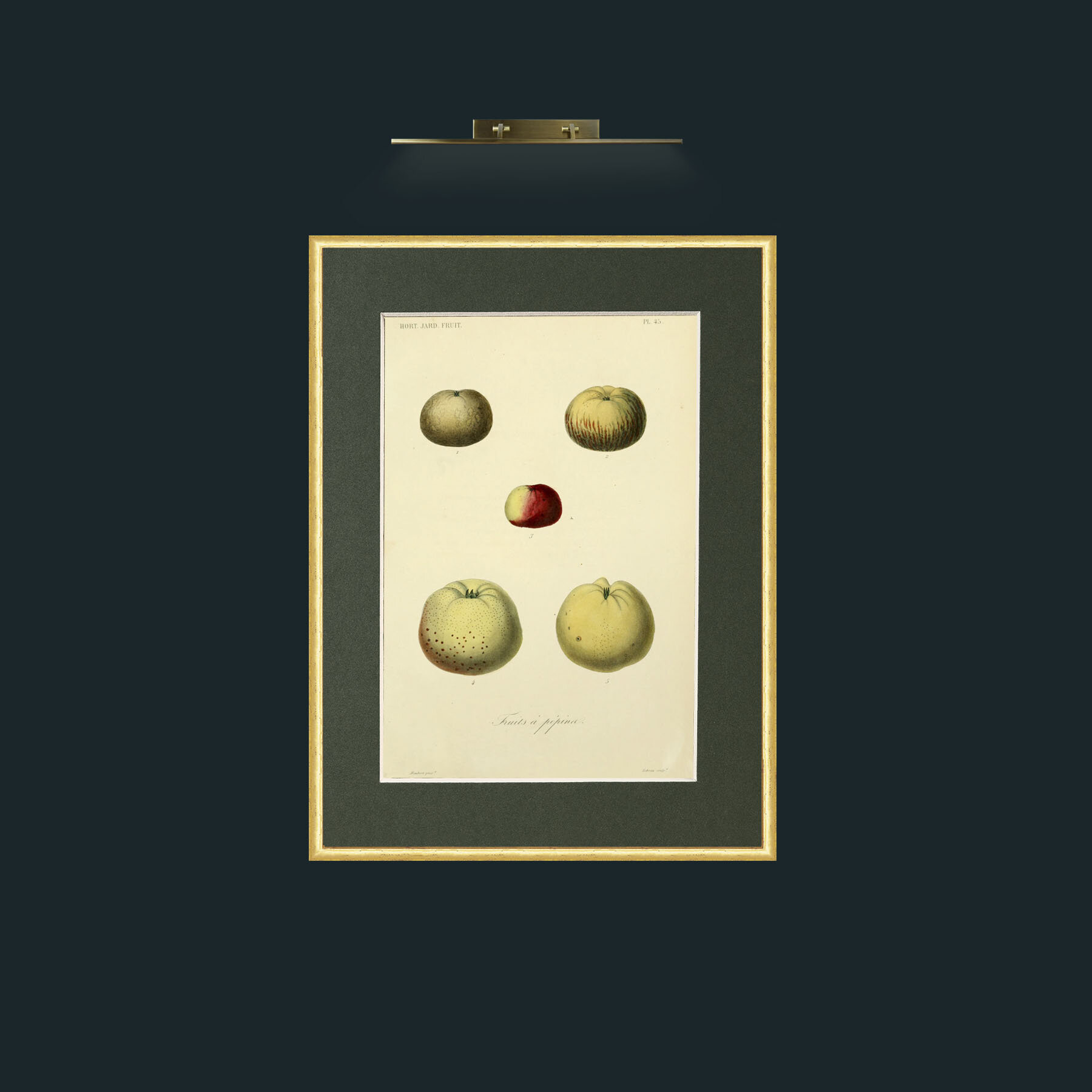 Art-Apples.jpg-Frame-3RoundedGilt-Mount-2Green.jpg