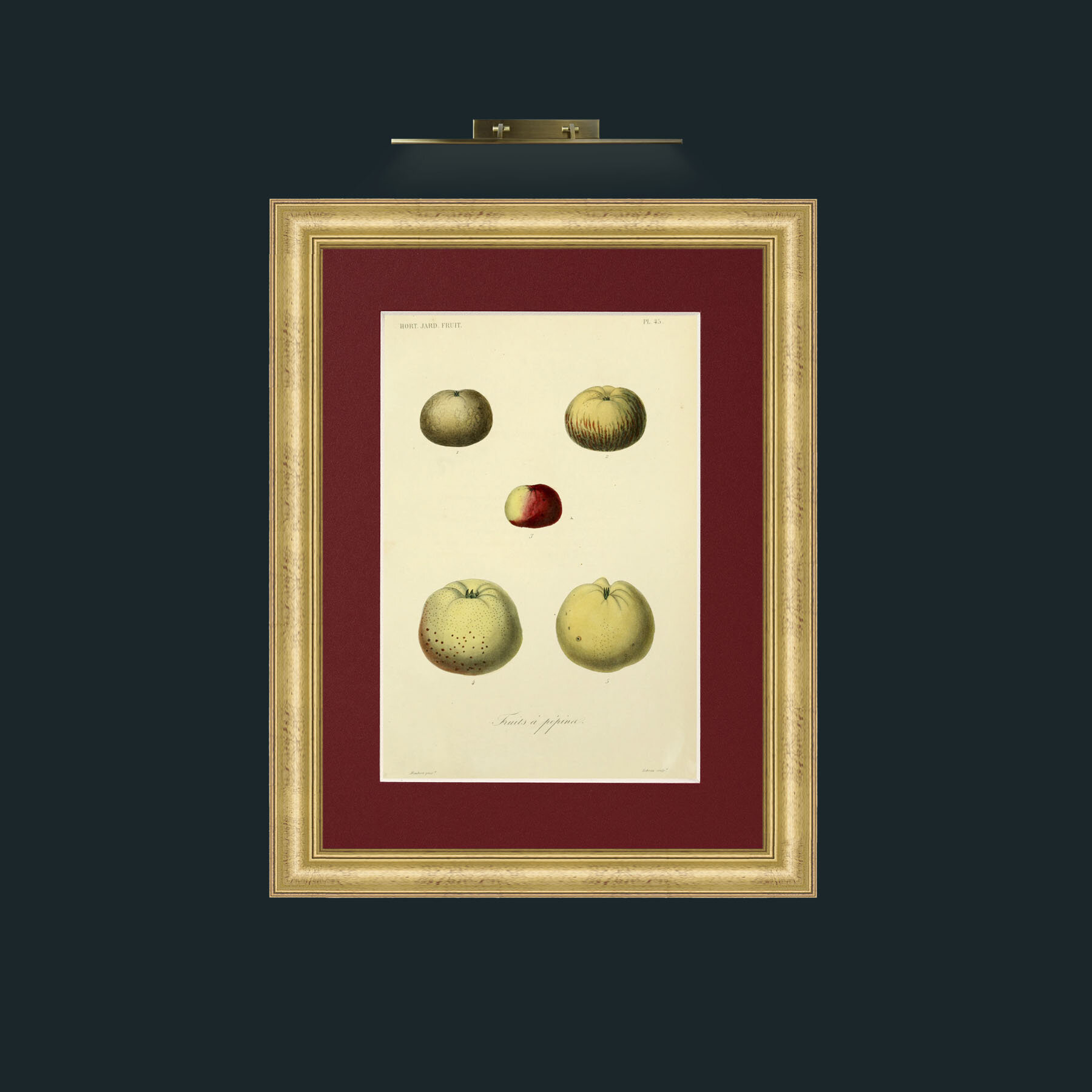 Art-Apples.jpg-Frame-9WideGilt-Mount-4Red.jpg
