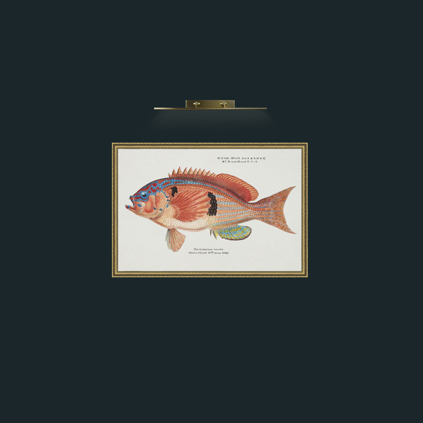 Art-Razor Perch-Frame-1GiltTextured.jpg