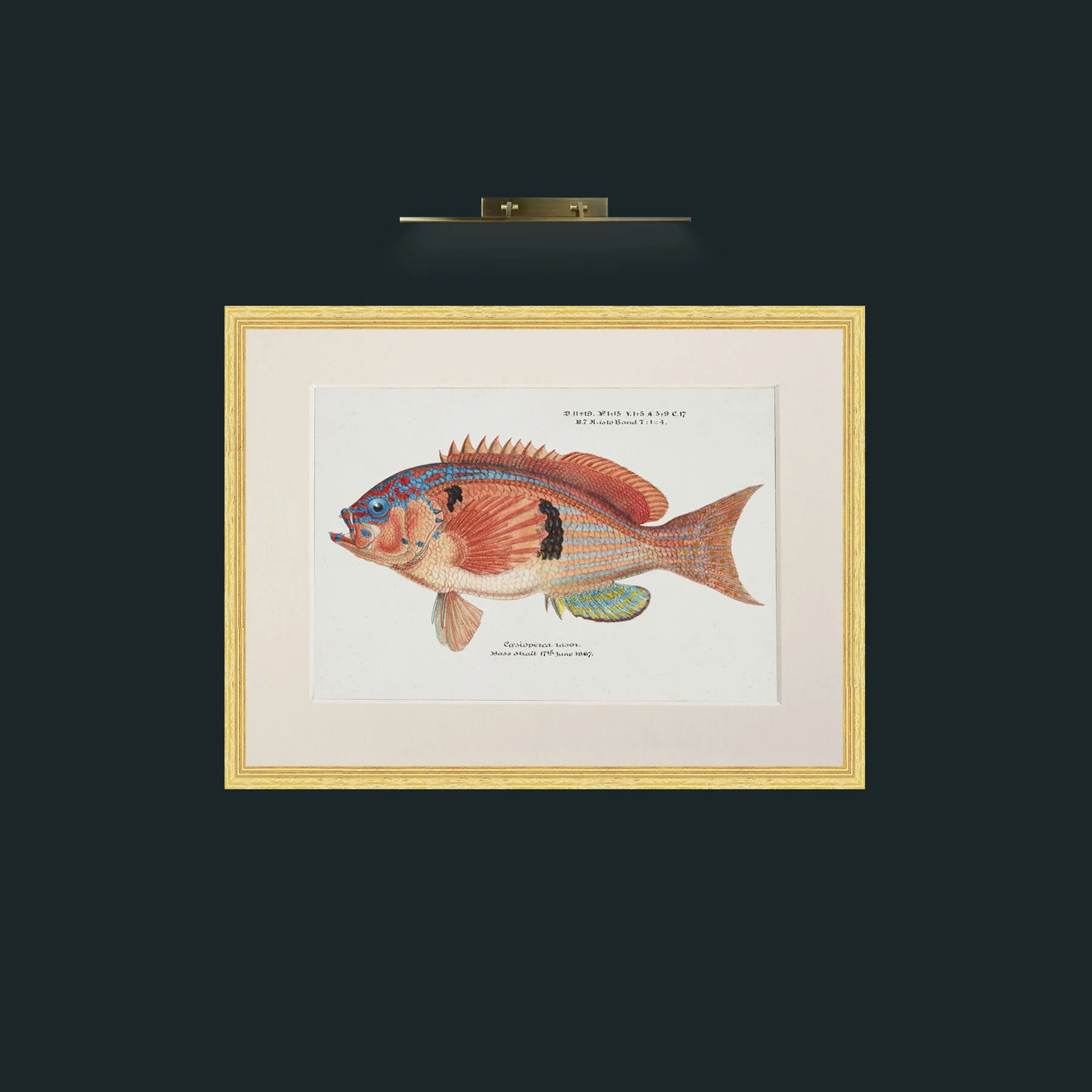 Art-Razor Perch-Frame-4BevelledGilt-Mount-1Antique.jpg