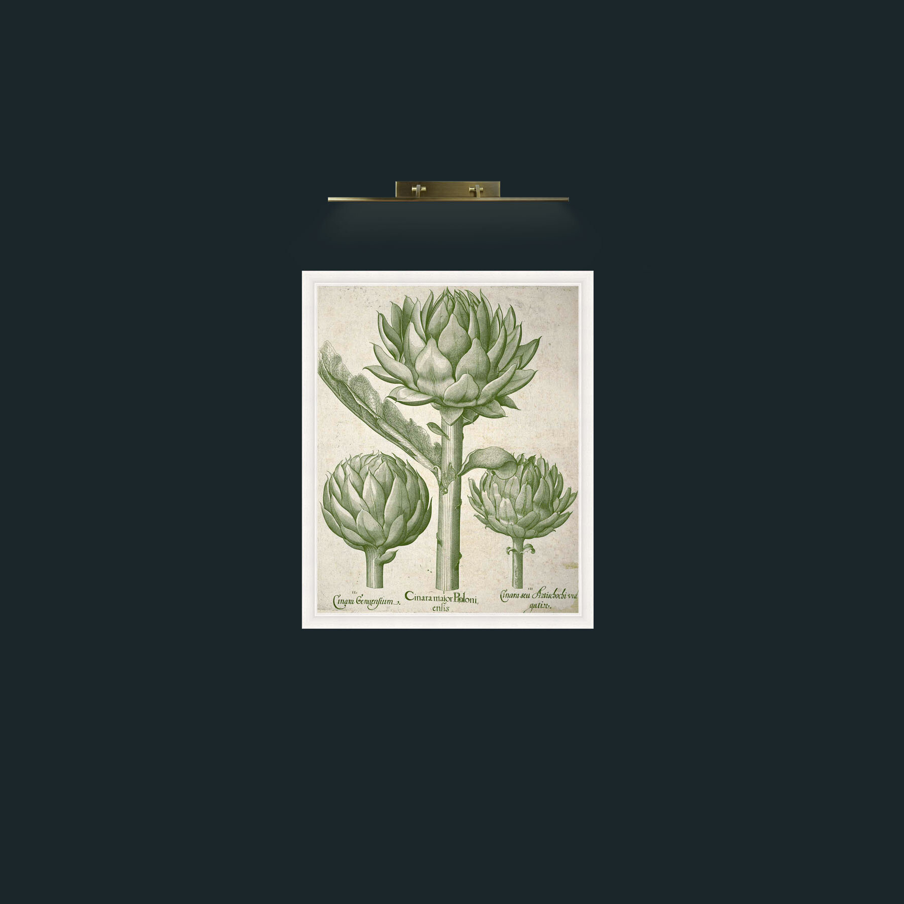 Art-ArtichokesFrame-5White-Art-Artichokes.jpg