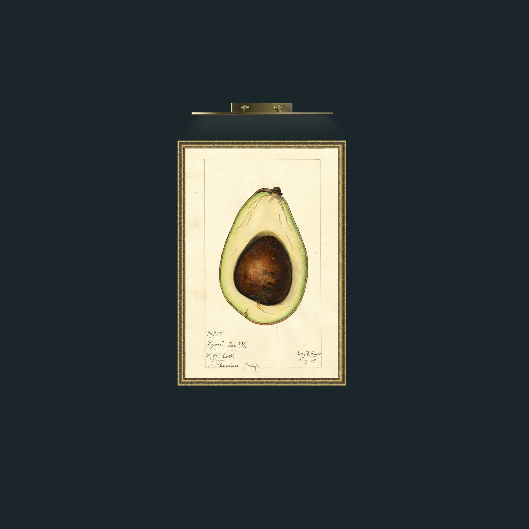Art-Avacado-Frame-1GiltTextured.jpg