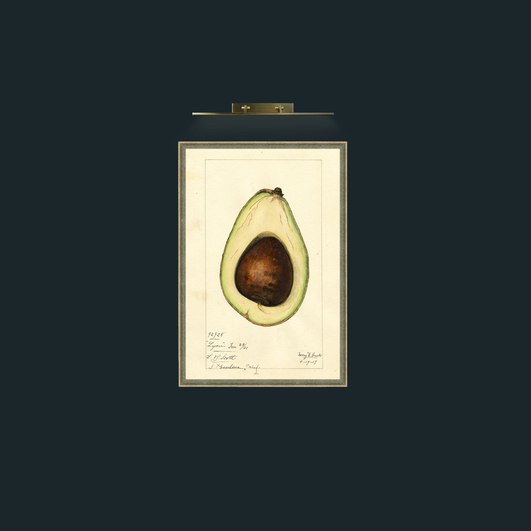 Art-Avacado-Frame-2GreenGiltTextured.jpg