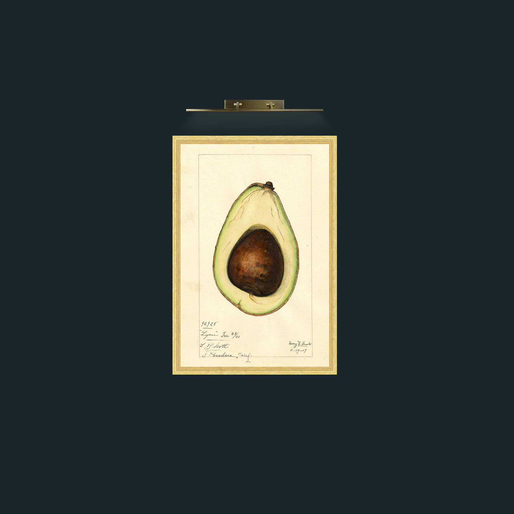 Art-Avacado-Frame-4BevelledGilt.jpg