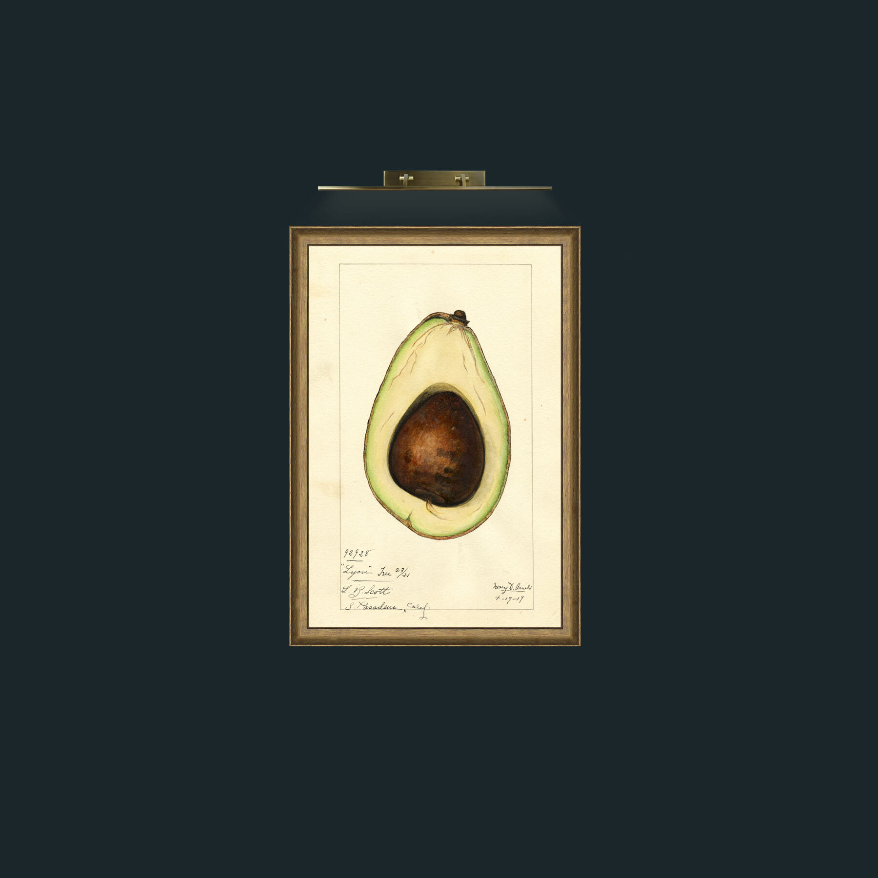 Art-Avacado-Frame-8RedGreenGilt.jpg