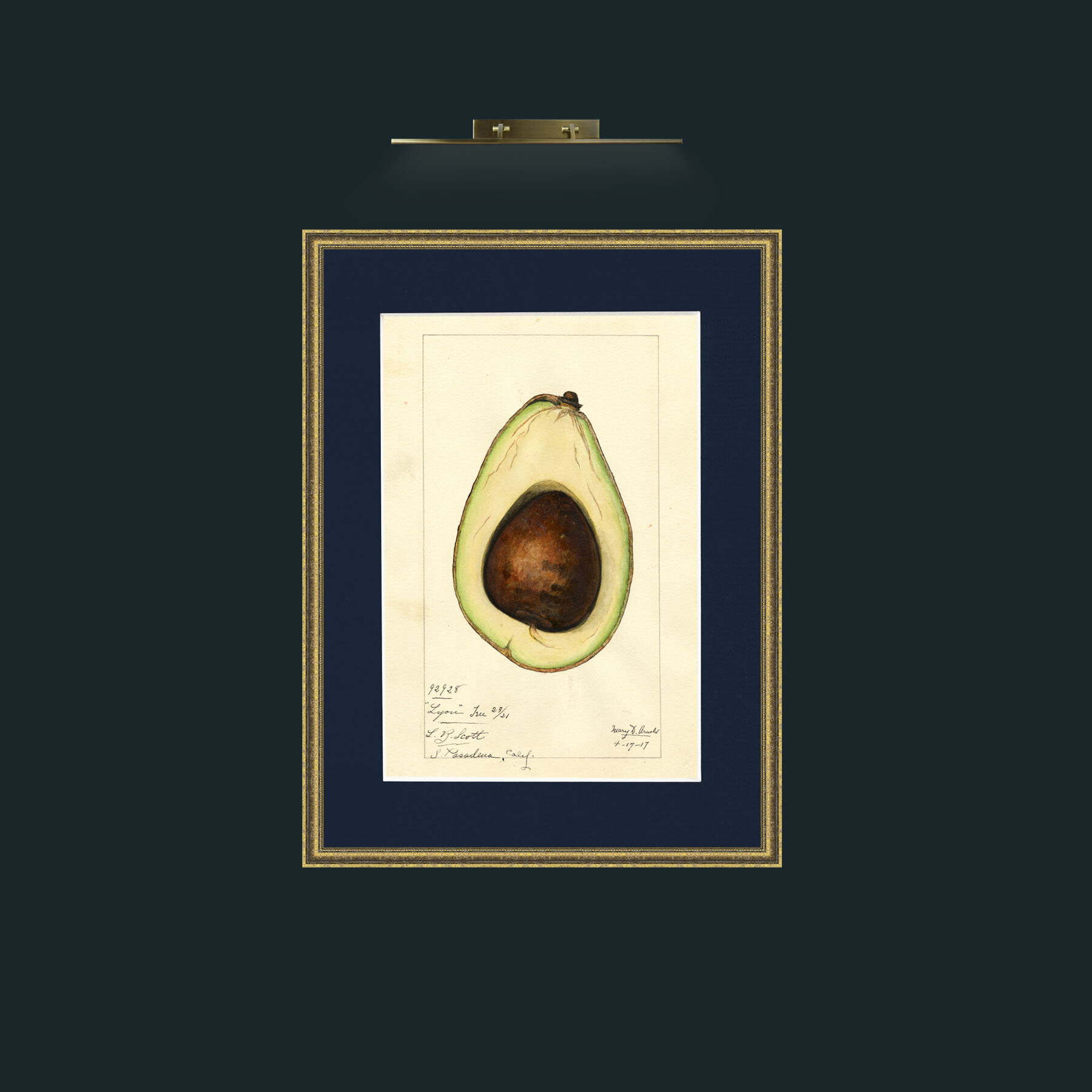 Art-Avacado.jpg-Frame-1TexturedGilt-Mount-3Blue.jpg