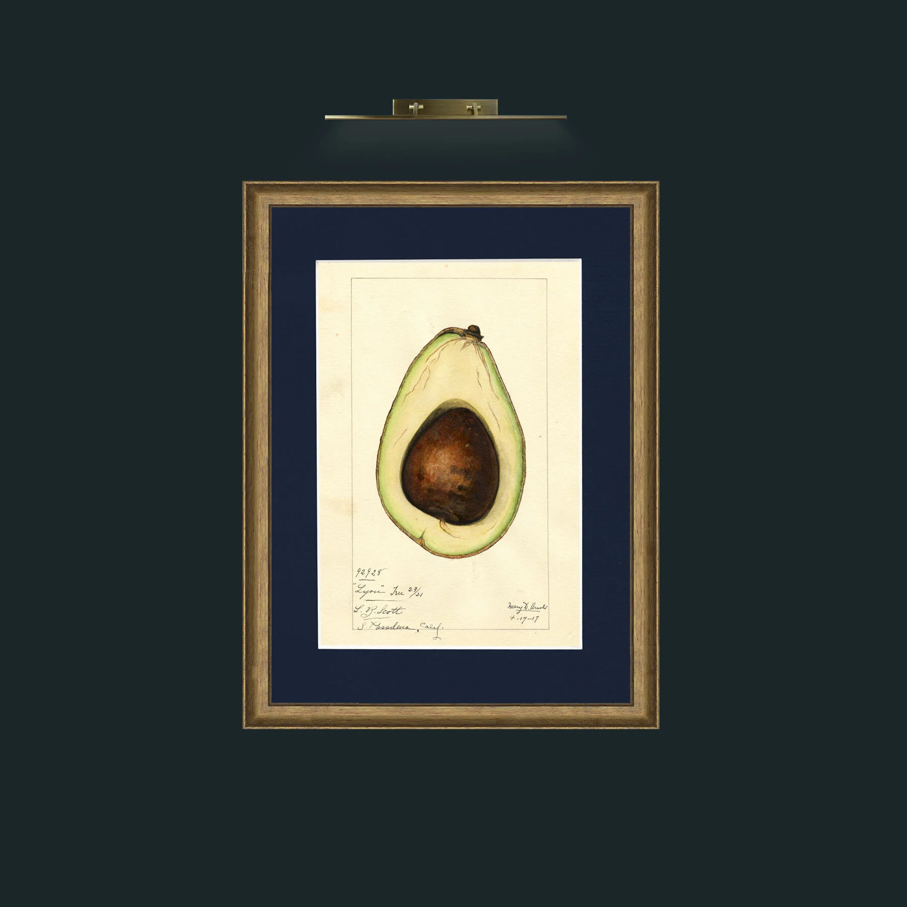Art-Avacado.jpg-Frame-8AntiqueRedGoldGilt-Mount-3Blue.jpg