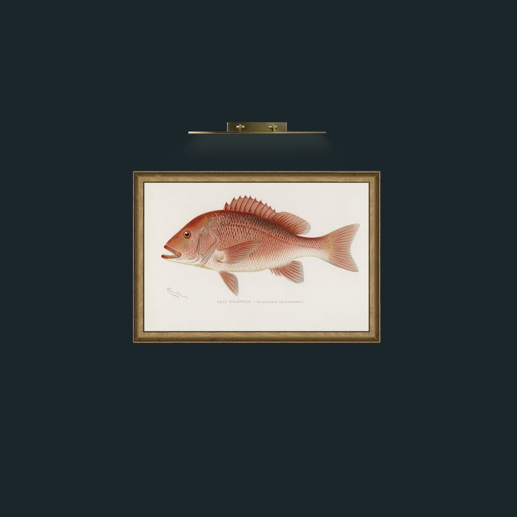 Art-Red Snapper-Frame-8RedGreenGilt.jpg