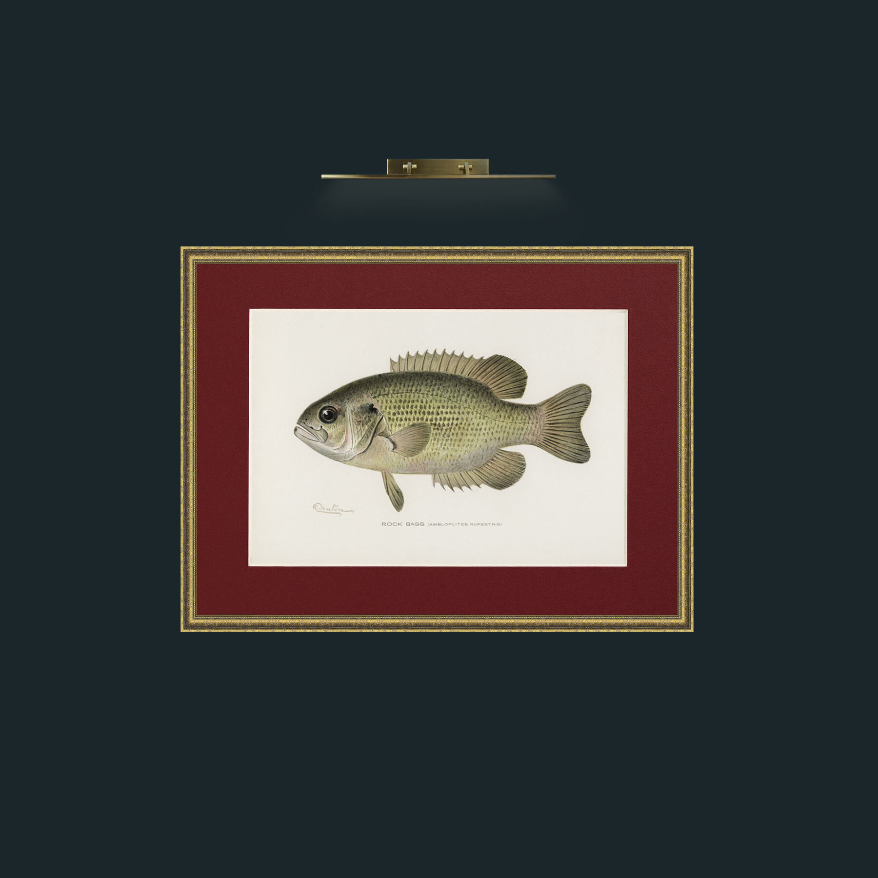 Art-Rock Bass-Frame-1TexturedGilt-Mount-4Red.jpg
