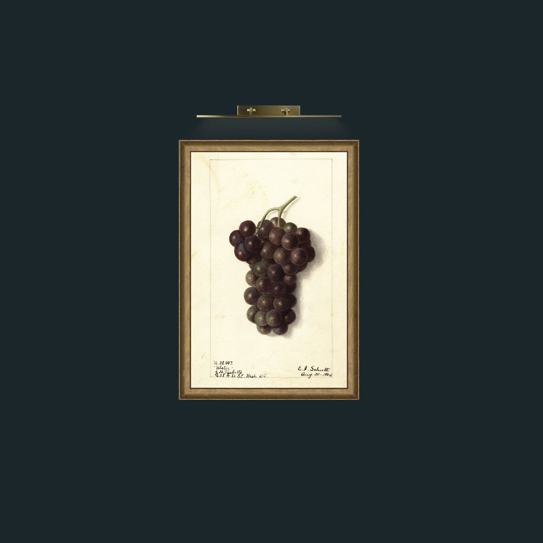 Art-Black Grapes-Frame-8RedGreenGilt.jpg