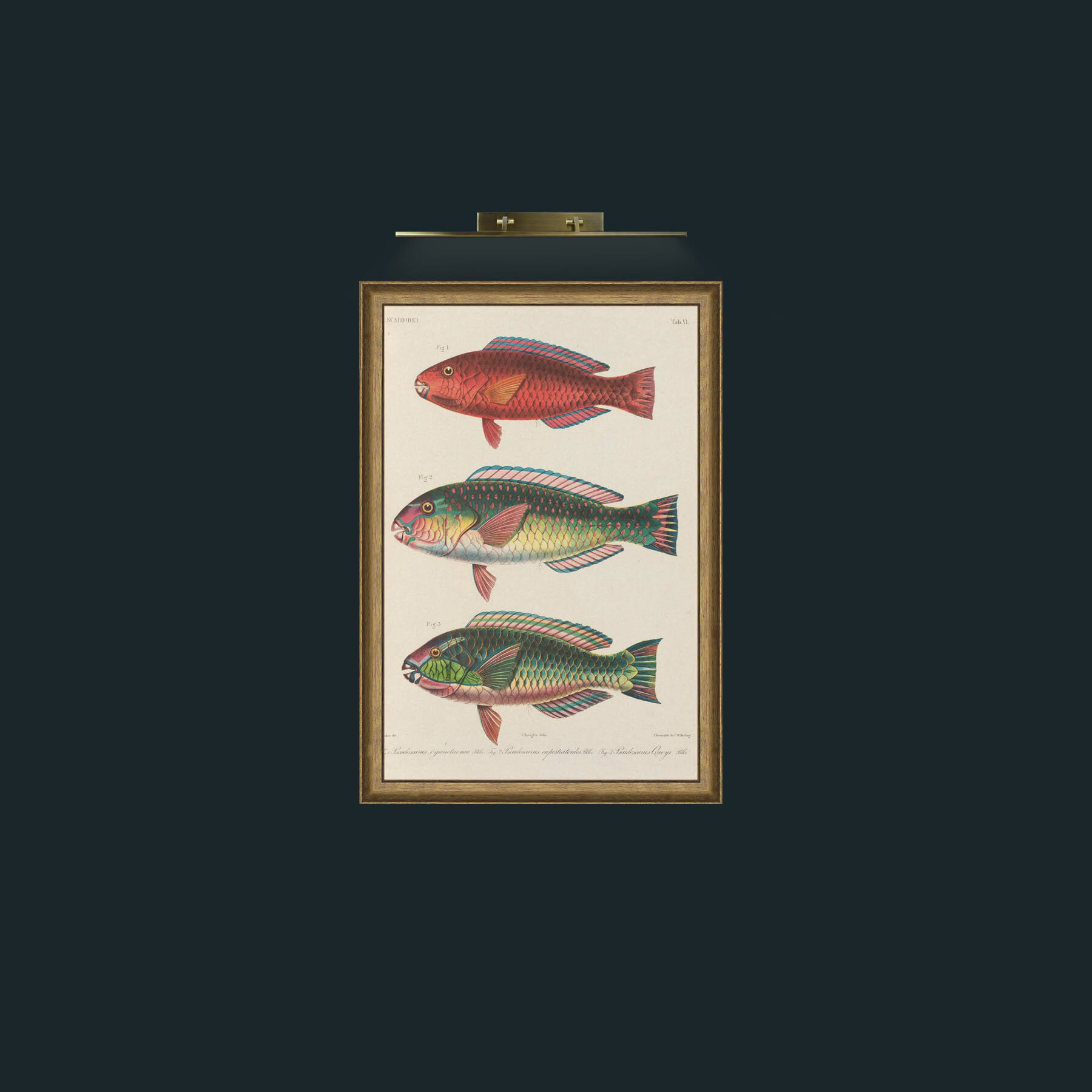 Art-Scaroidel 1-Frame-8RedGreenGilt.jpg
