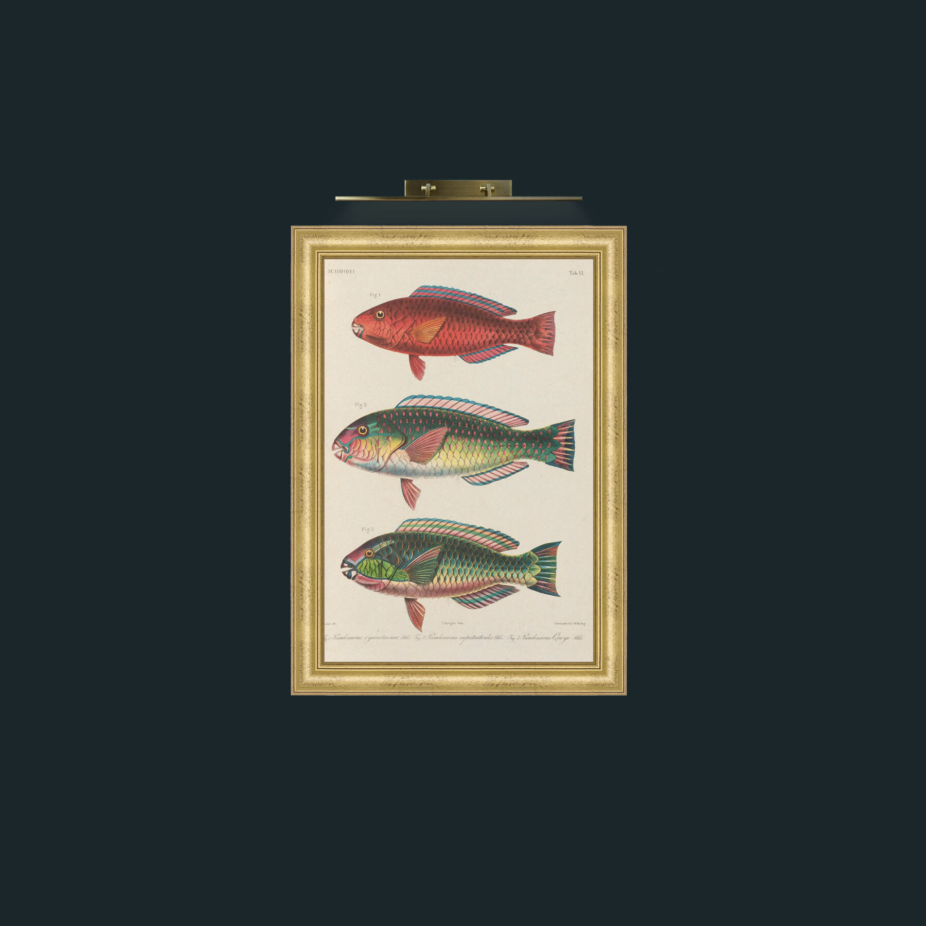 Art-Scaroidel 1-Frame-9WideGilt.jpg