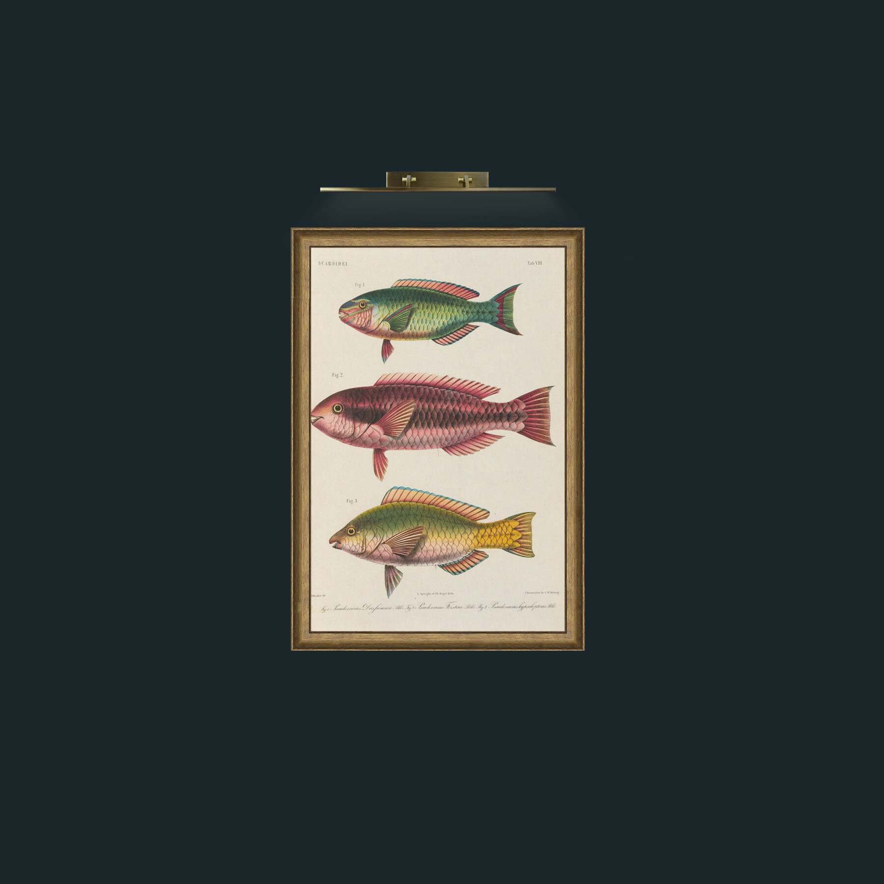 Art-Scaroidel 3-Frame-8RedGreenGilt.jpg