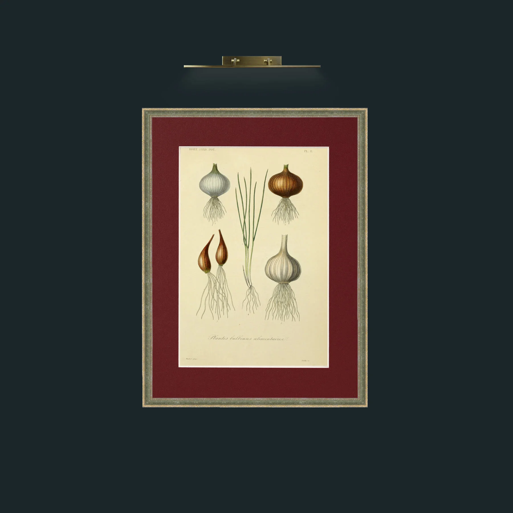 Art-Bulbeuses.jpg-Frame-2GreenGiltTextured-Mount-4Red.jpg