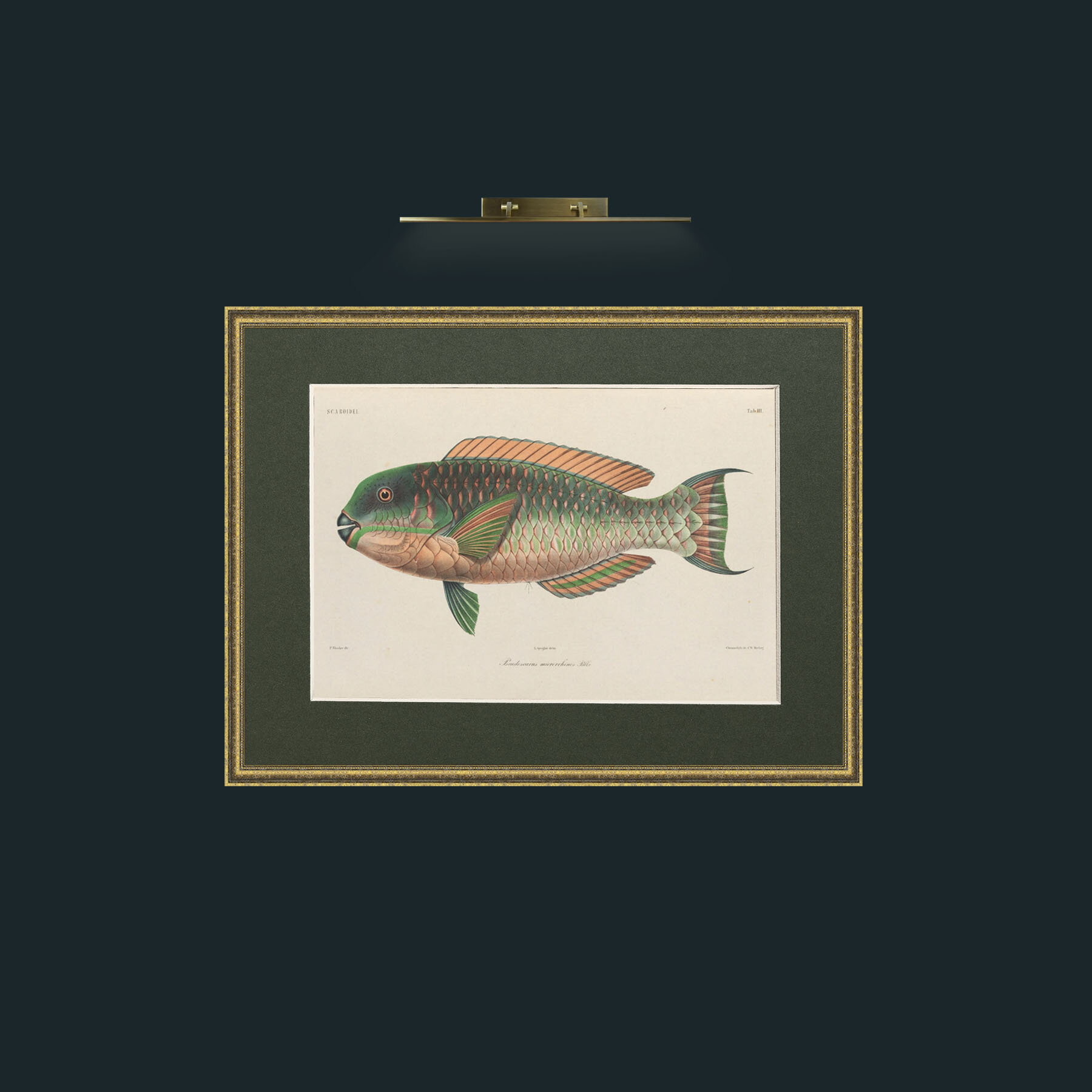 Art-Scaroidel A-Frame-1TexturedGilt-Mount-2Green.jpg