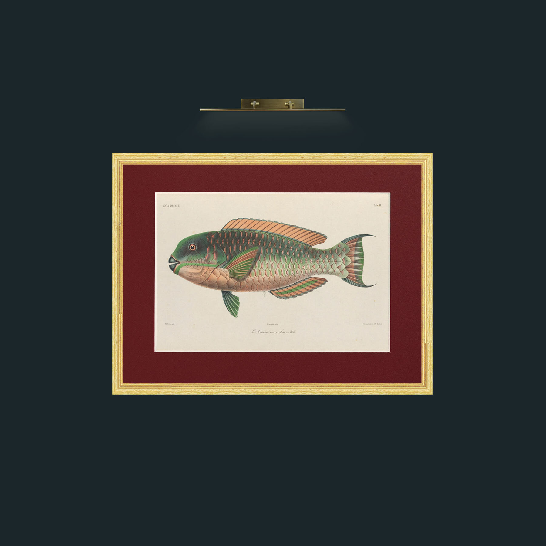 Art-Scaroidel A-Frame-4BevelledGilt-Mount-4Red.jpg