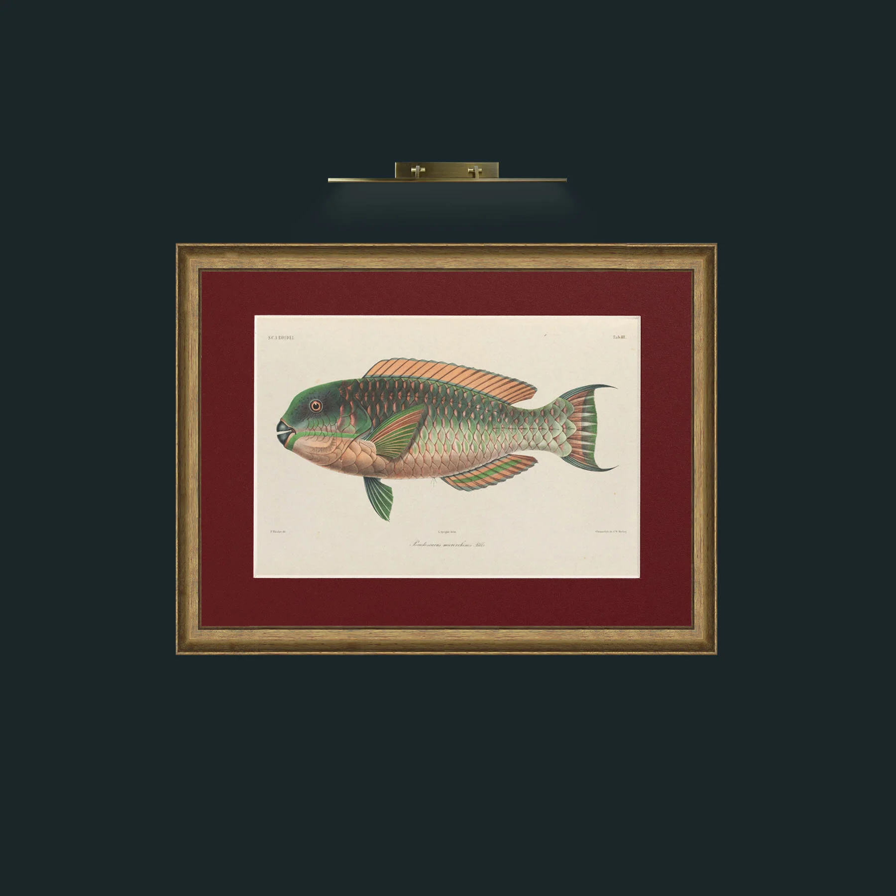 Art-Scaroidel A-Frame-8AntiqueRedGoldGilt-Mount-4Red.jpg