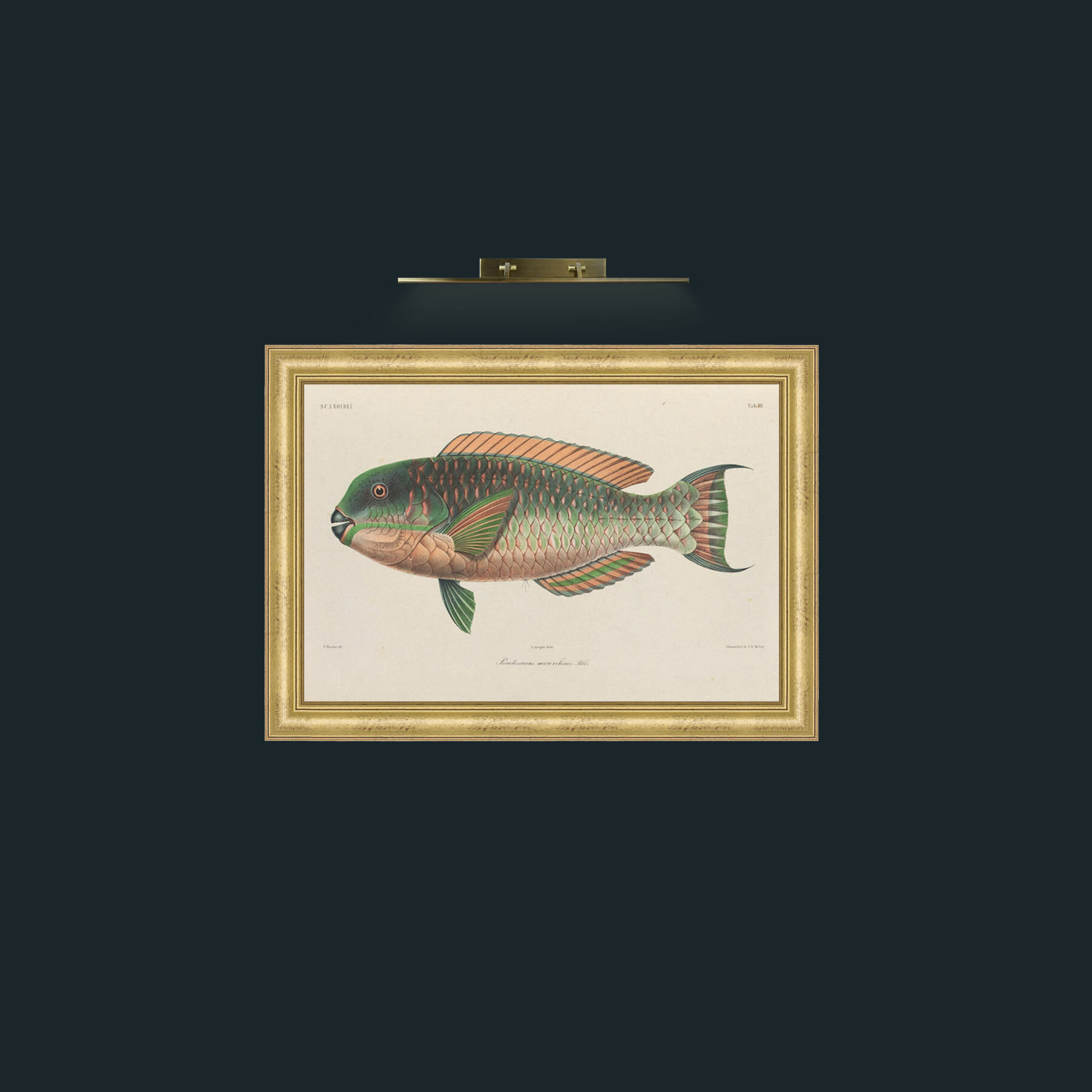Art-Scaroidel A-Frame-9WideGilt.jpg