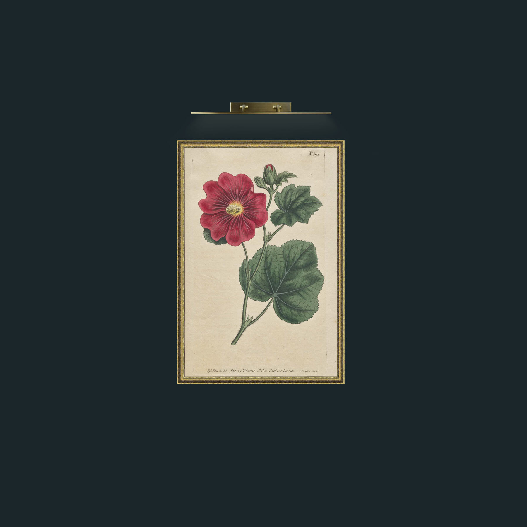 Art-Camellia-Frame-1GiltTextured.jpg