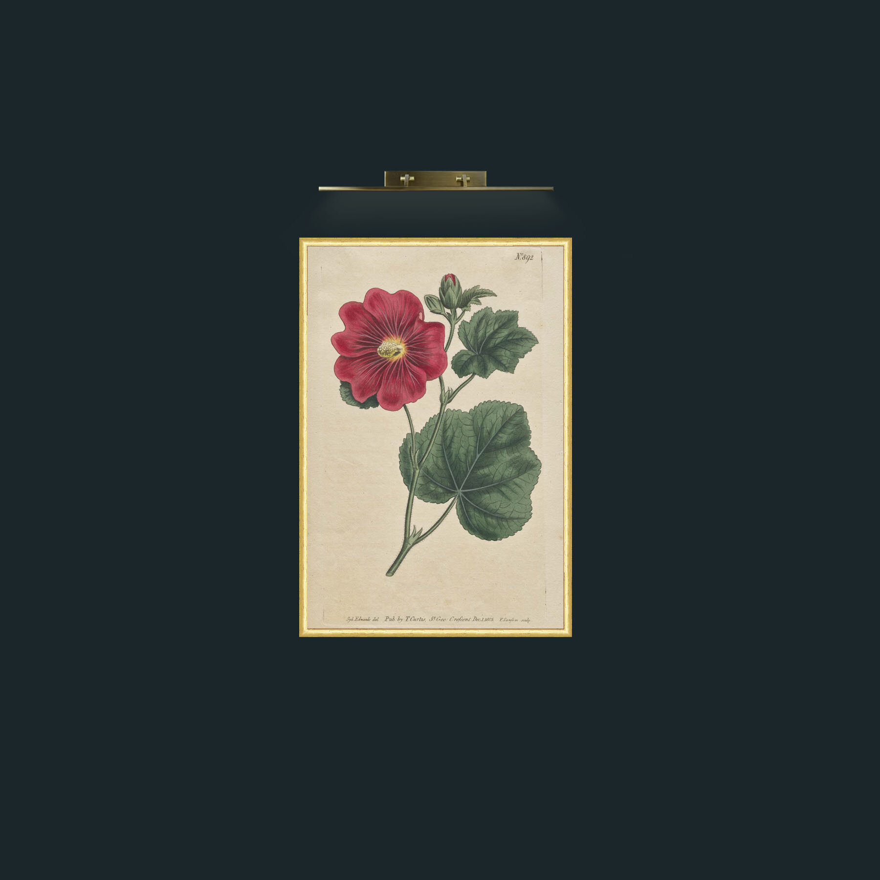 Art-Camellia-Frame-3RoundedGilt.jpg