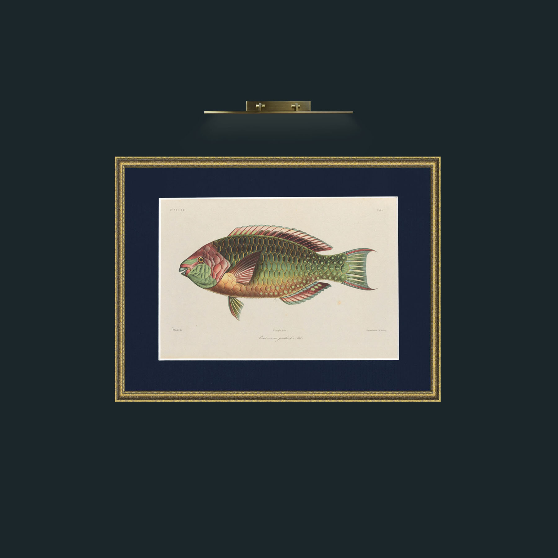 Art-Scaroidel B-Frame-1TexturedGilt-Mount-3Blue.jpg