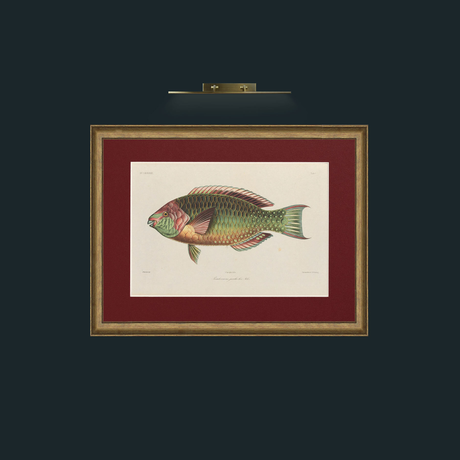 Art-Scaroidel B-Frame-8AntiqueRedGoldGilt-Mount-4Red.jpg