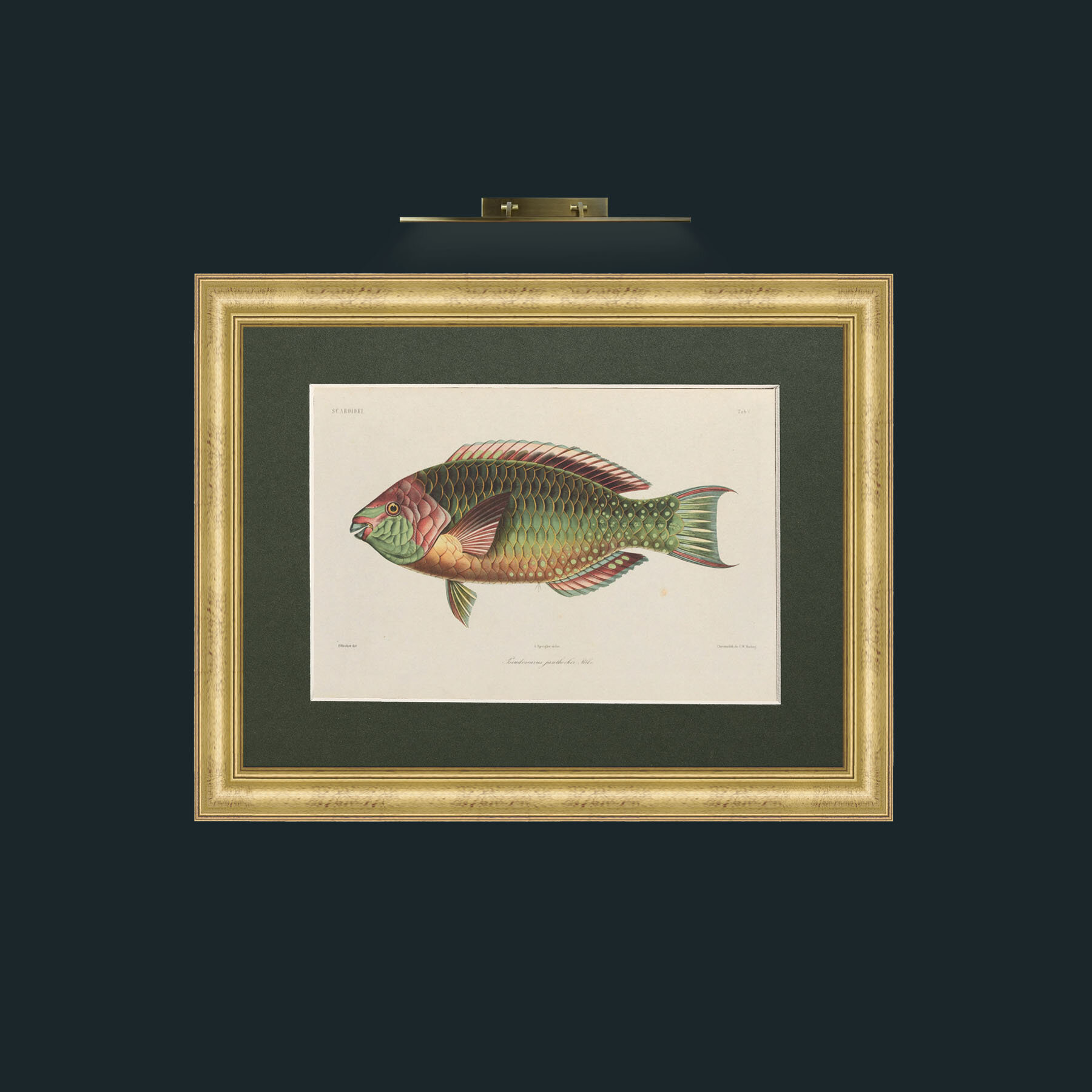 Art-Scaroidel B-Frame-9WideGilt-Mount-2Green.jpg
