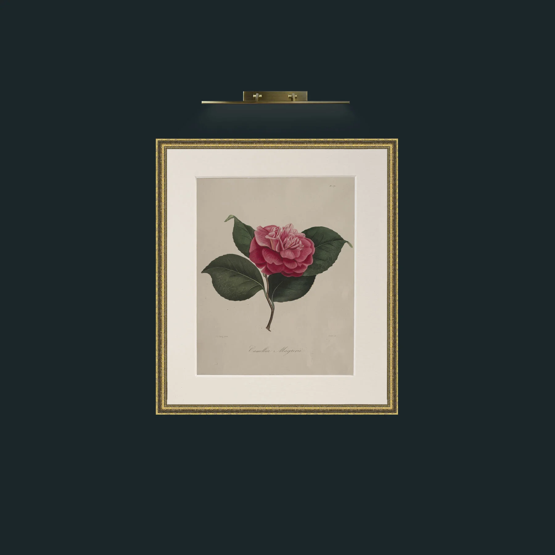 Art-Camellia MagterilFrame-1GiltTextured-Mount-1Antique-Art-Camellia Magteril.jpg