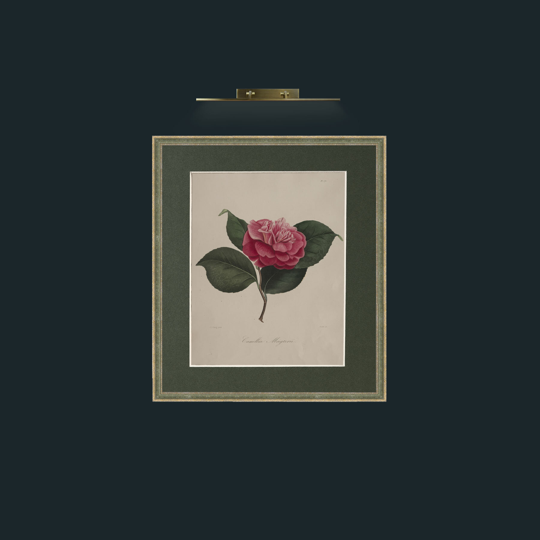 Art-Camellia MagterilFrame-2GreenGiltTextured-Mount-2Green-Art-Camellia Magteril.jpg