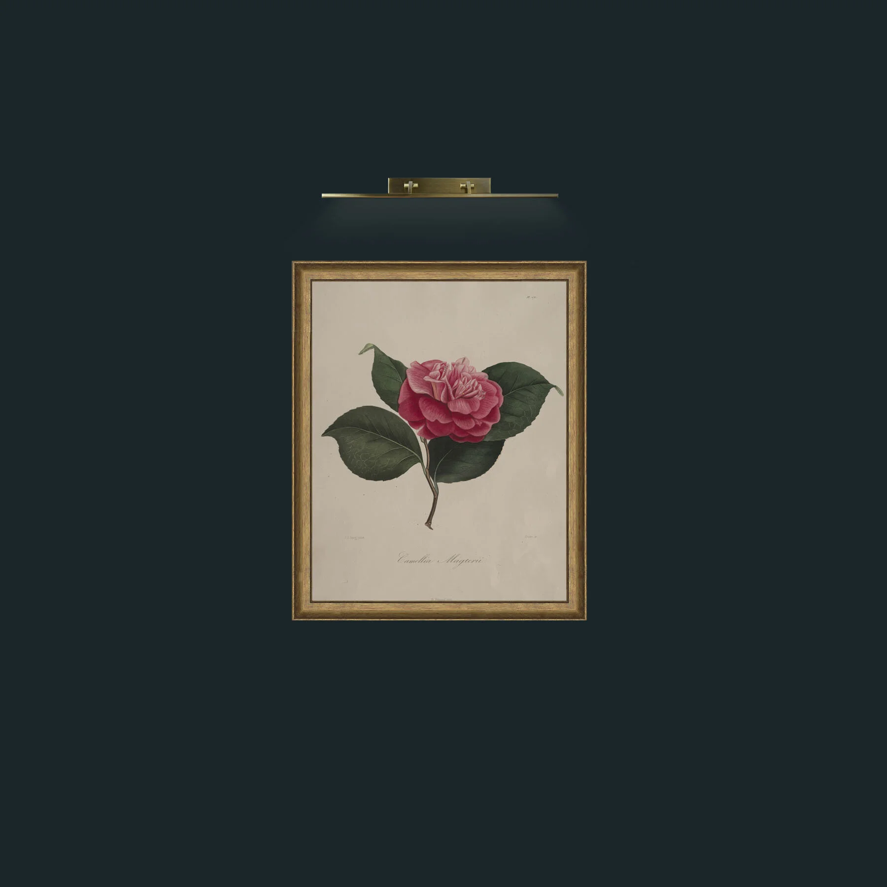 Art-Camellia MagterilFrame-9RedGreenGilt-Art-Camellia Magteril.jpg