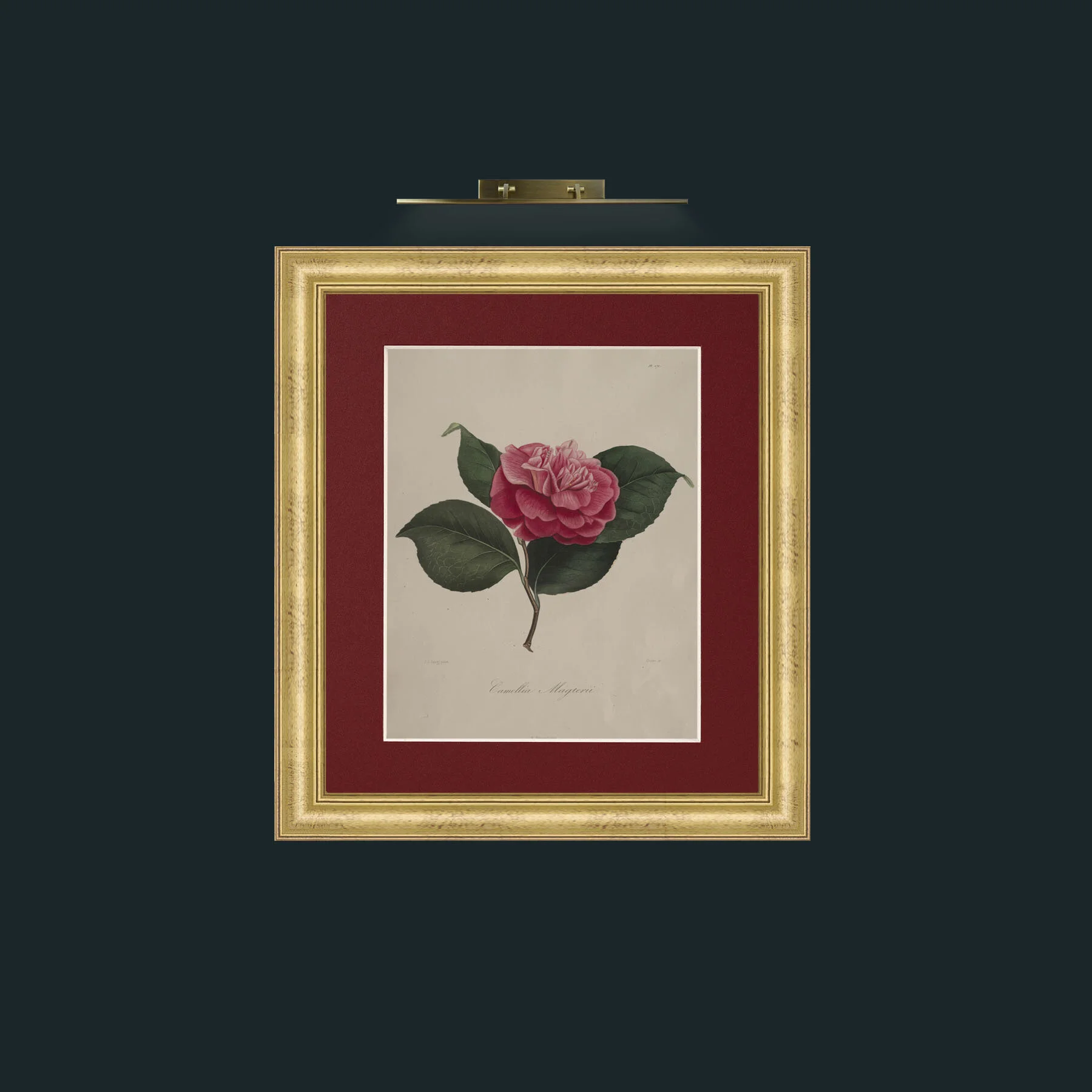 Art-Camellia MagterilFrame-9WideGilt-Mount-4Red-Art-Camellia Magteril.jpg