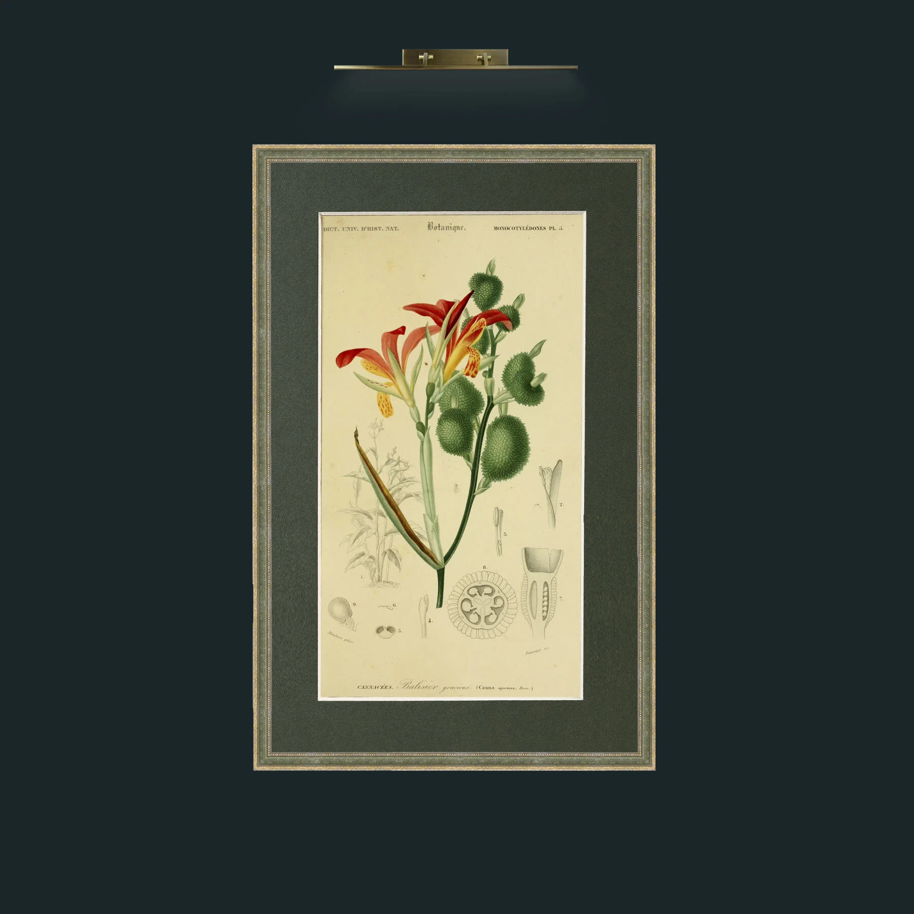 Art-Canna.jpg-Frame-2GreenGoldTextured-Mount-2Green.jpg