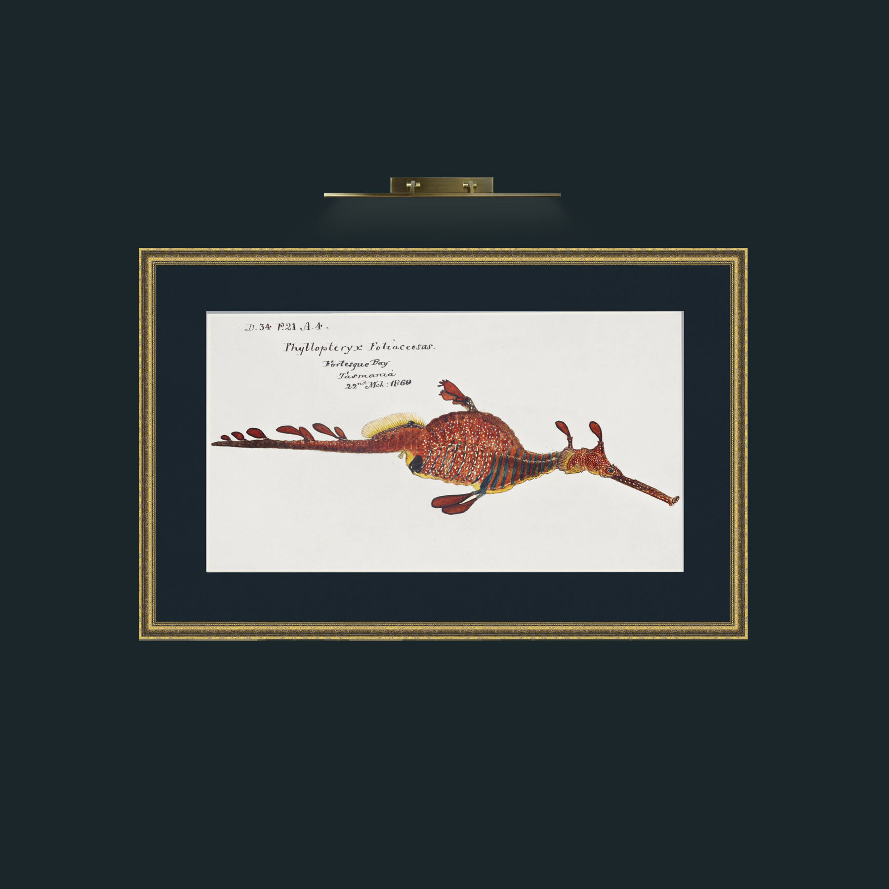 Art-Sea Dragon.jpg-Frame-1GiltTextured-Mount-3Blue.jpg