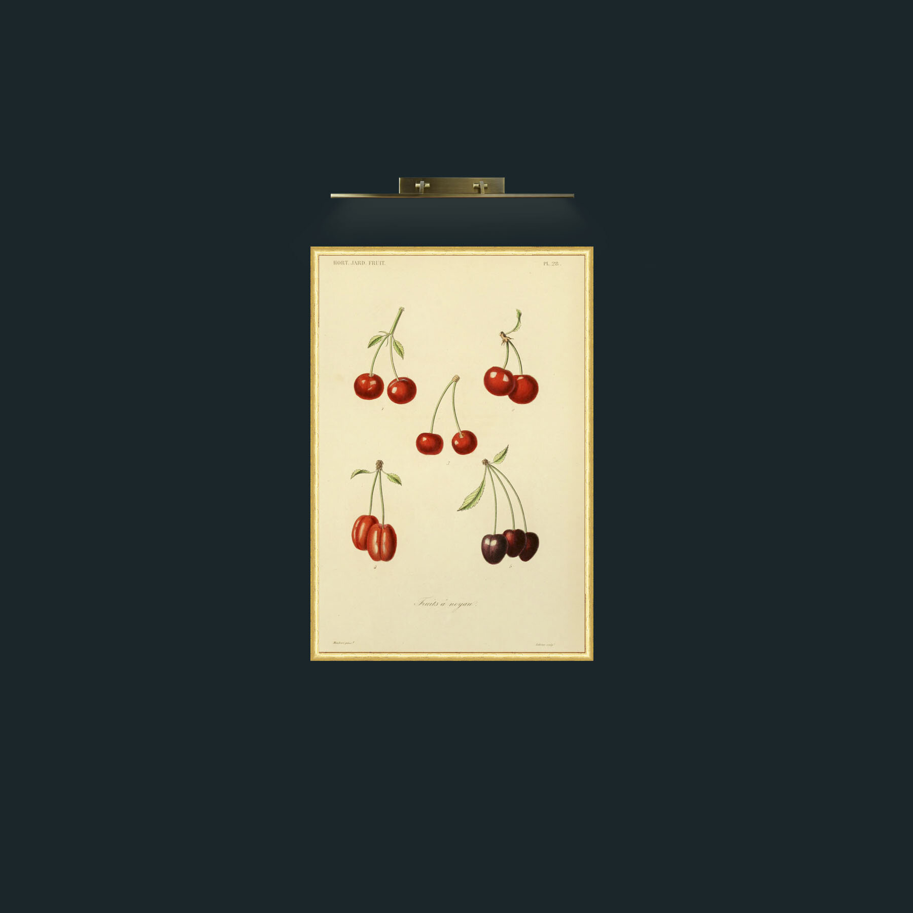 Art-Cherries-Frame-3RoundedGilt.jpg