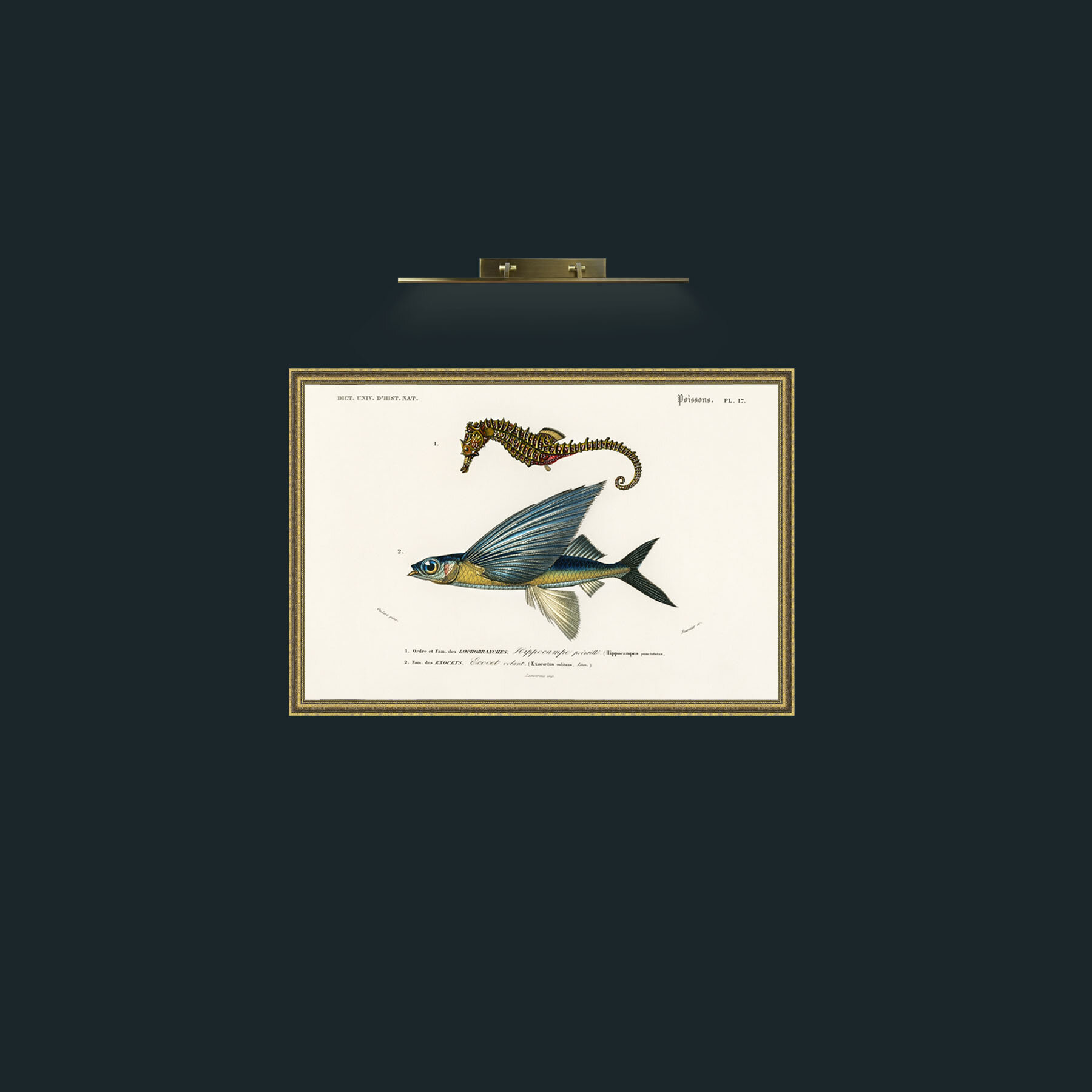 Art-Sea Horse and Flying Fish-Frame-1GiltTextured.jpg