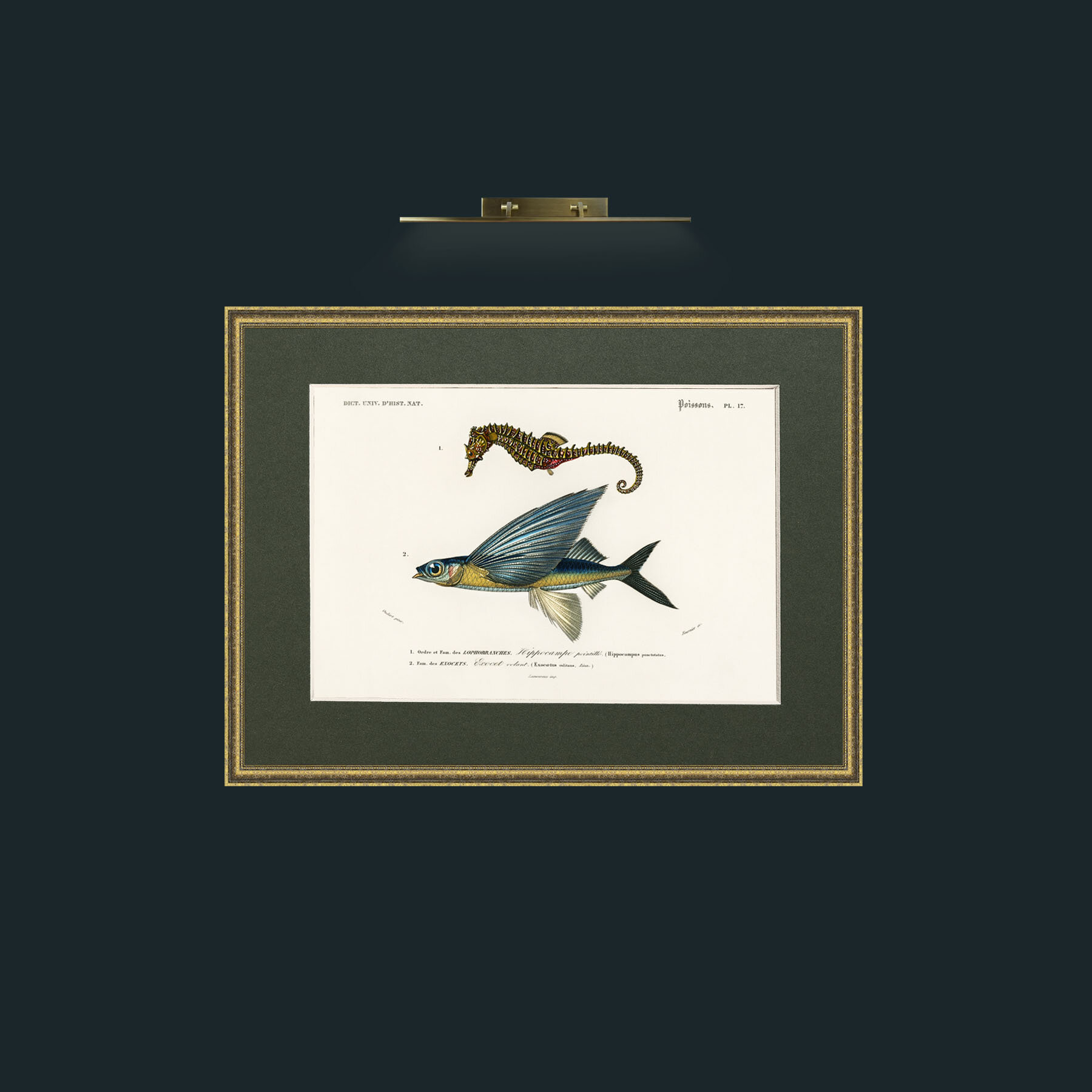 Art-Sea Horse and Flying Fish-Frame-1TexturedGilt-Mount-2Green.jpg