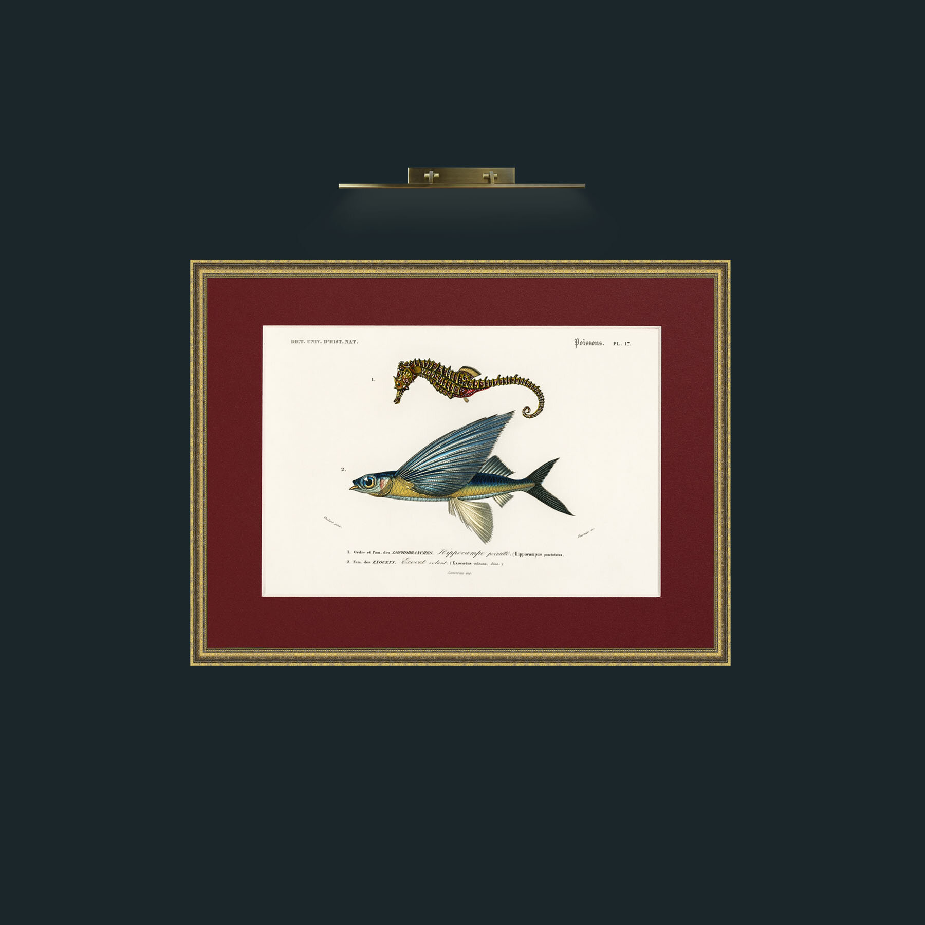 Art-Sea Horse and Flying Fish-Frame-1TexturedGilt-Mount-4Red.jpg