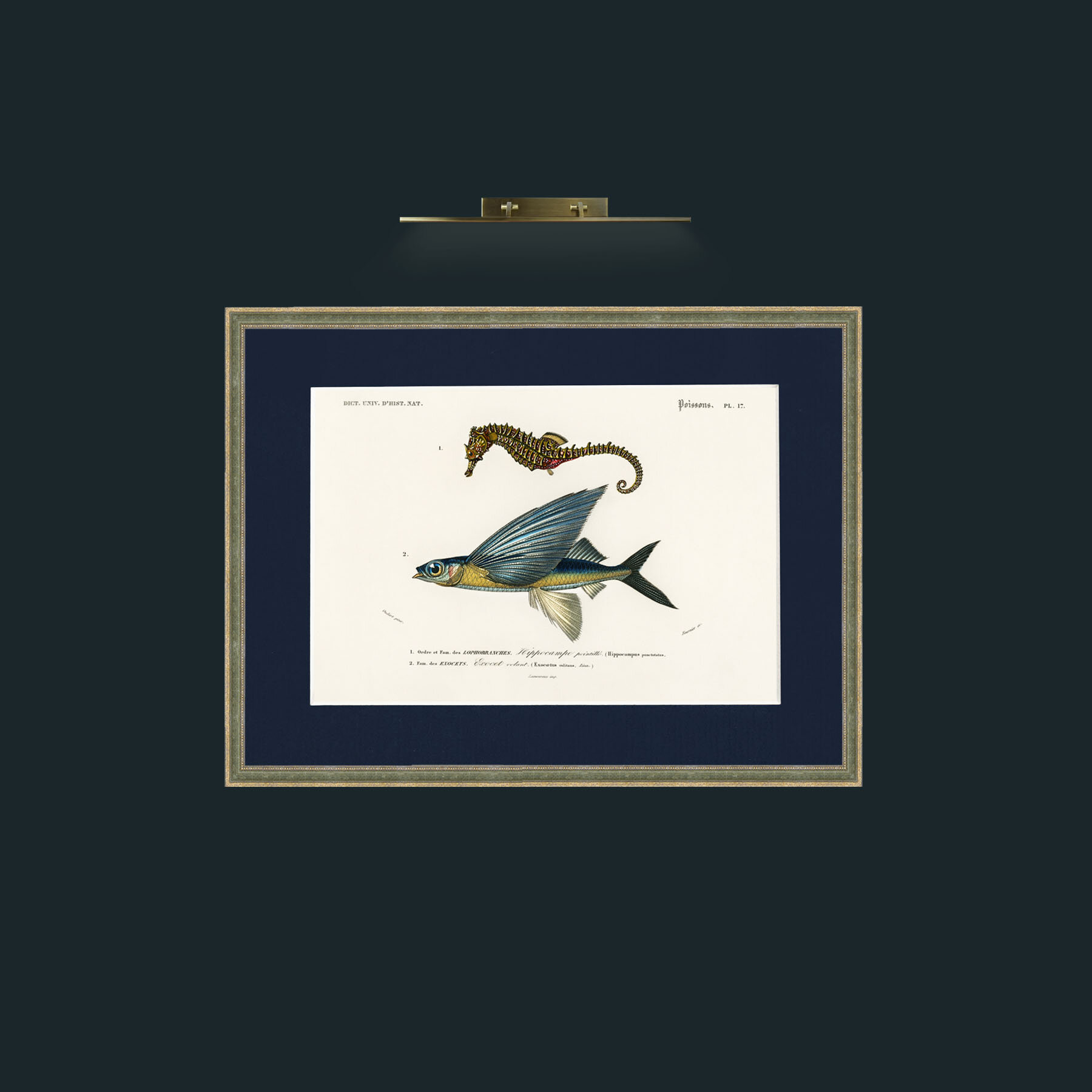 Art-Sea Horse and Flying Fish-Frame-2GreenGiltTextured-Mount-3Blue.jpg