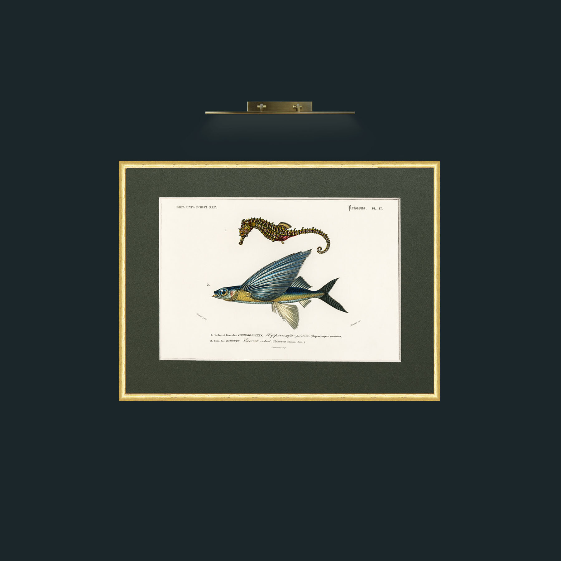 Art-Sea Horse and Flying Fish-Frame-3RoundedGilt-Mount-2Green.jpg