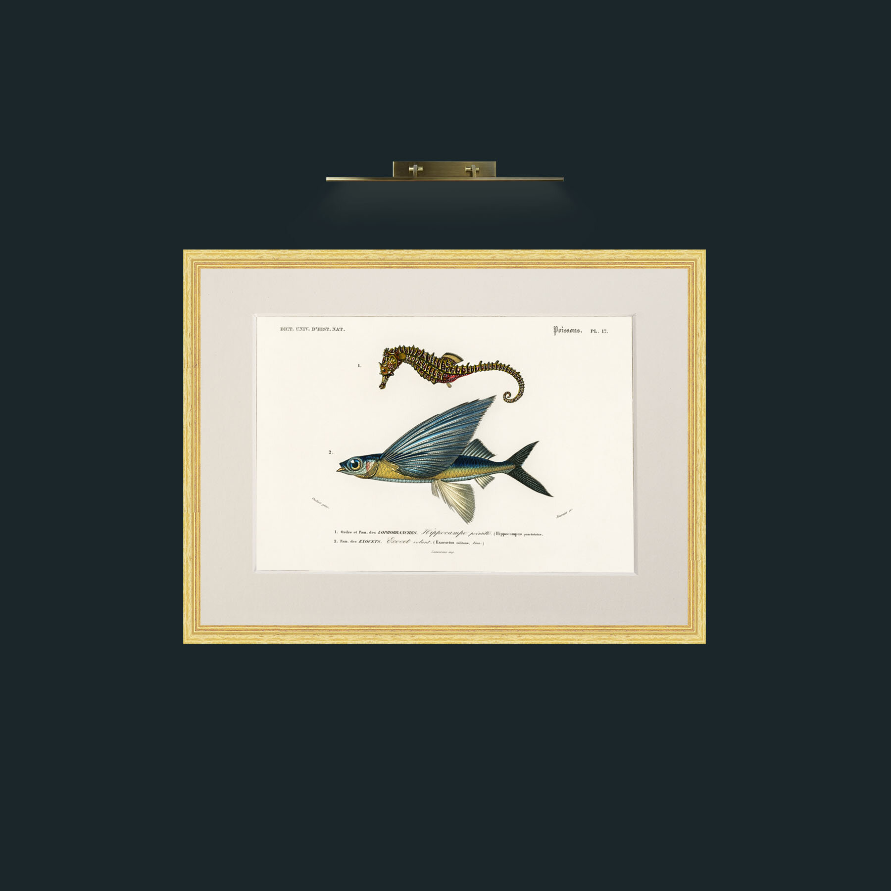 Art-Sea Horse and Flying Fish-Frame-4BevelledGilt-Mount-1Antique.jpg