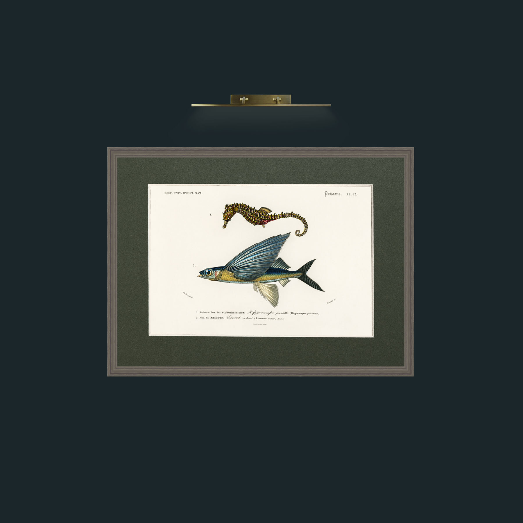 Art-Sea Horse and Flying Fish-Frame-6Grey-Mount-2Green.jpg