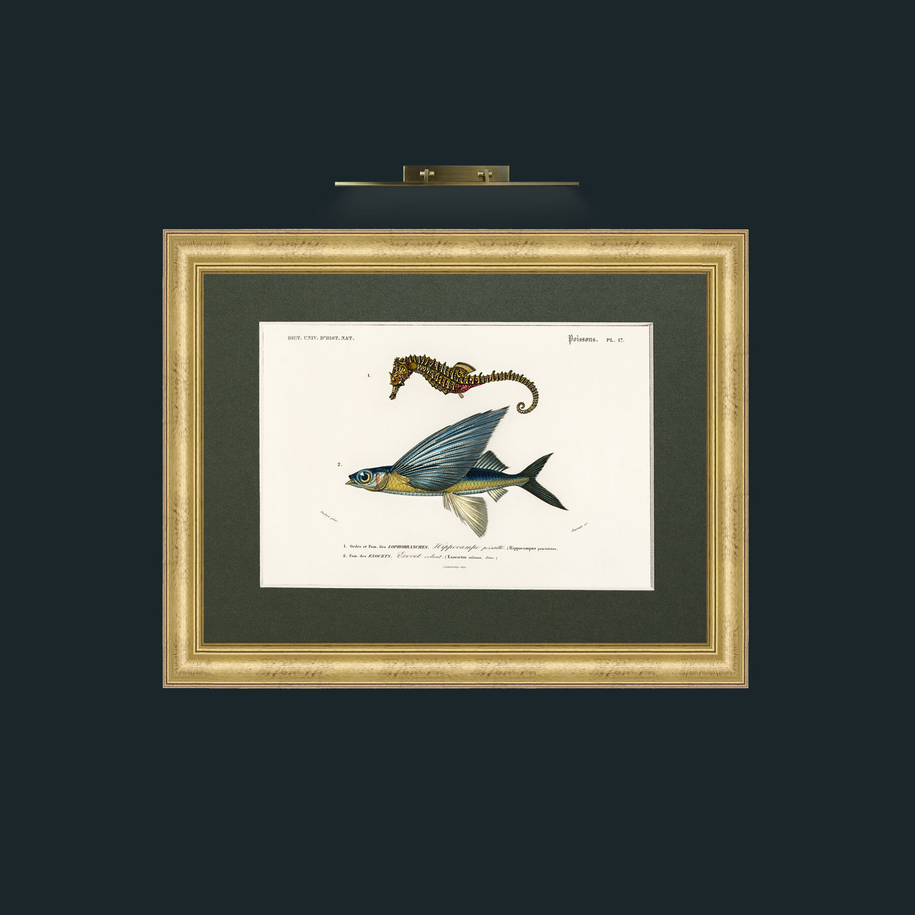 Art-Sea Horse and Flying Fish-Frame-9WideGilt-Mount-2Green.jpg