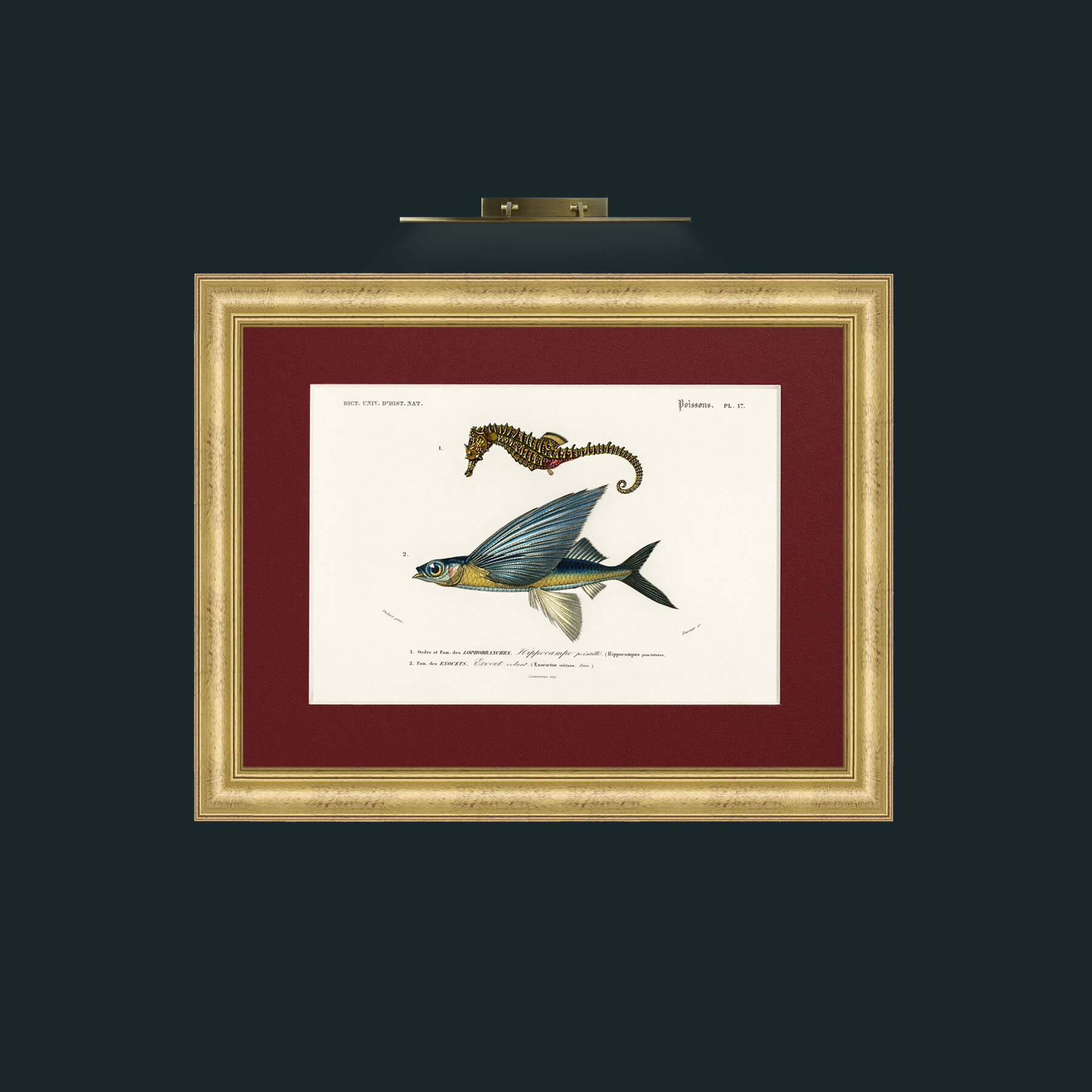 Art-Sea Horse and Flying Fish-Frame-9WideGilt-Mount-4Red.jpg