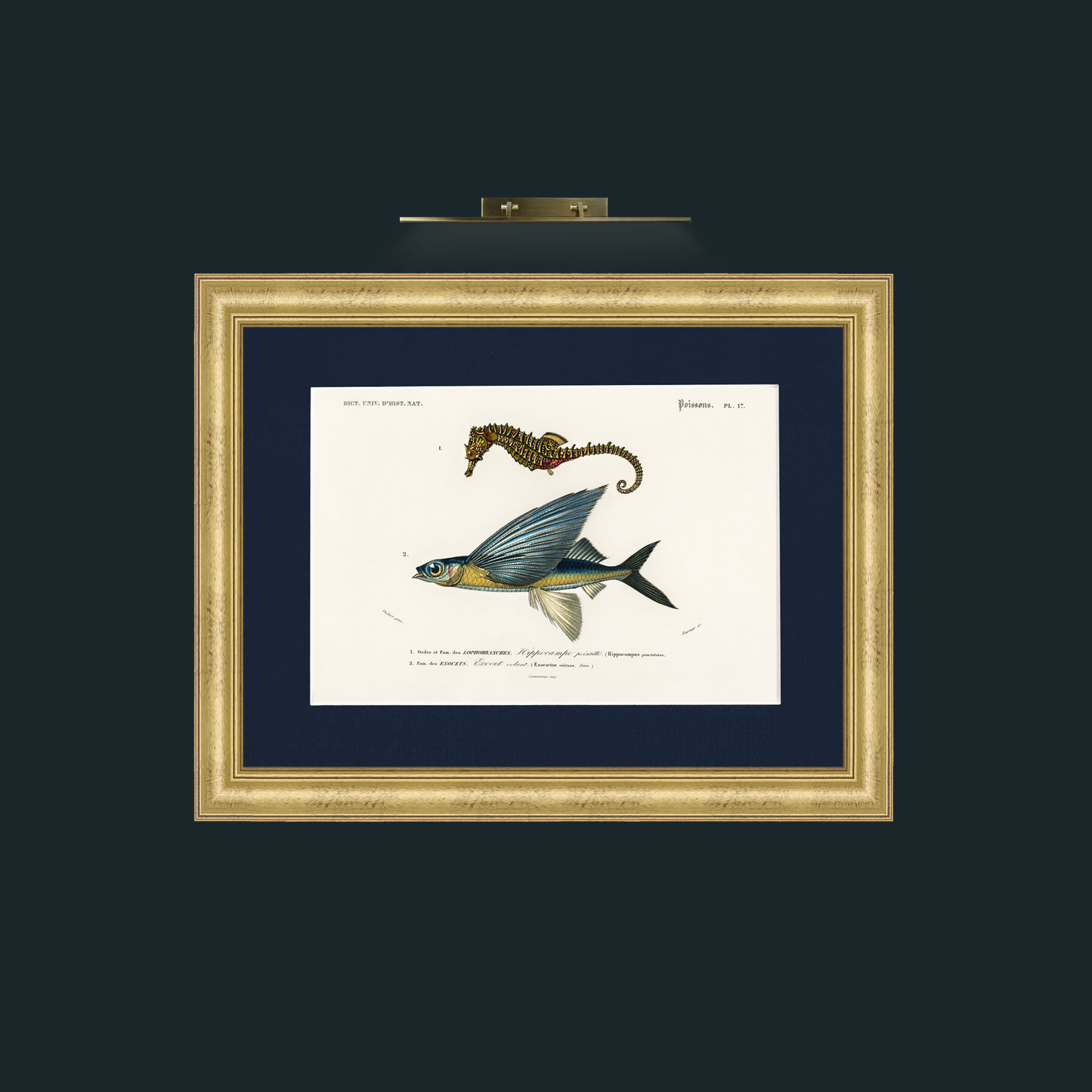 Art-Sea Horse and Flying Fish-Frame-9WideGilt-Mount-3Blue.jpg