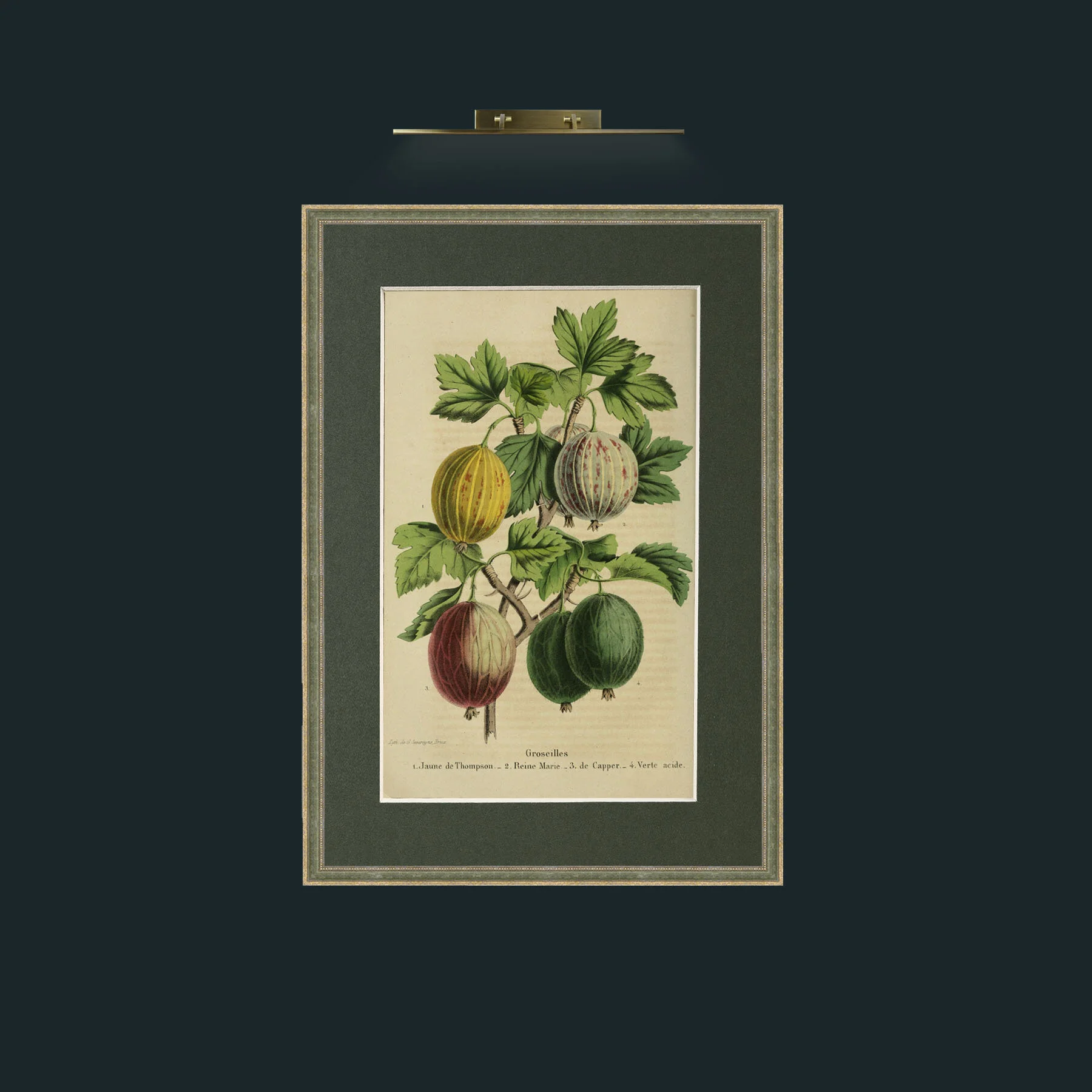 Art-Currants.jpg-Frame-2GreenGiltTextured-Mount-2Green.jpg