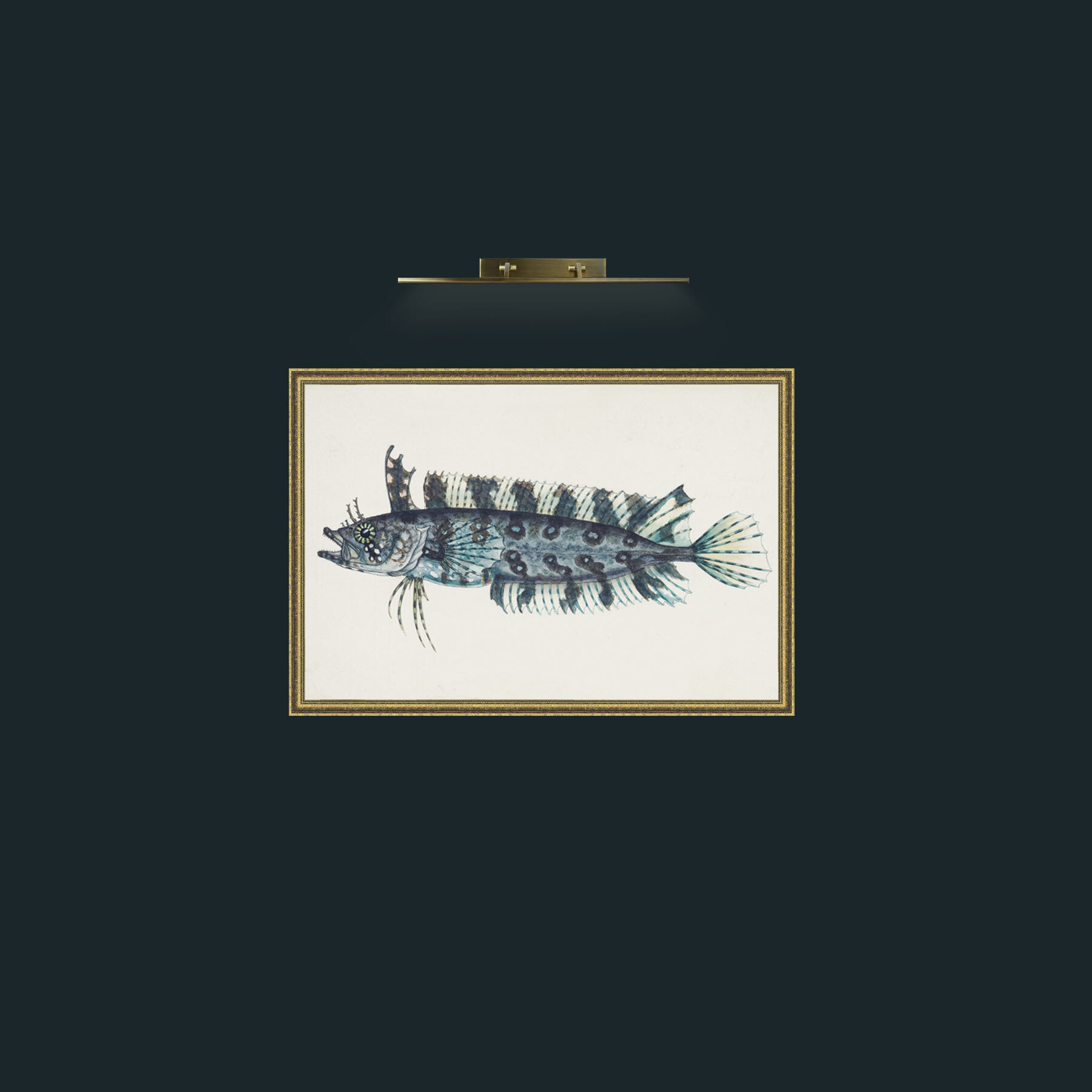 Art-Silver Spotted Cristiceps-Frame-1GiltTextured.jpg